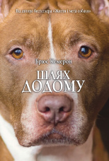 Шлях додому