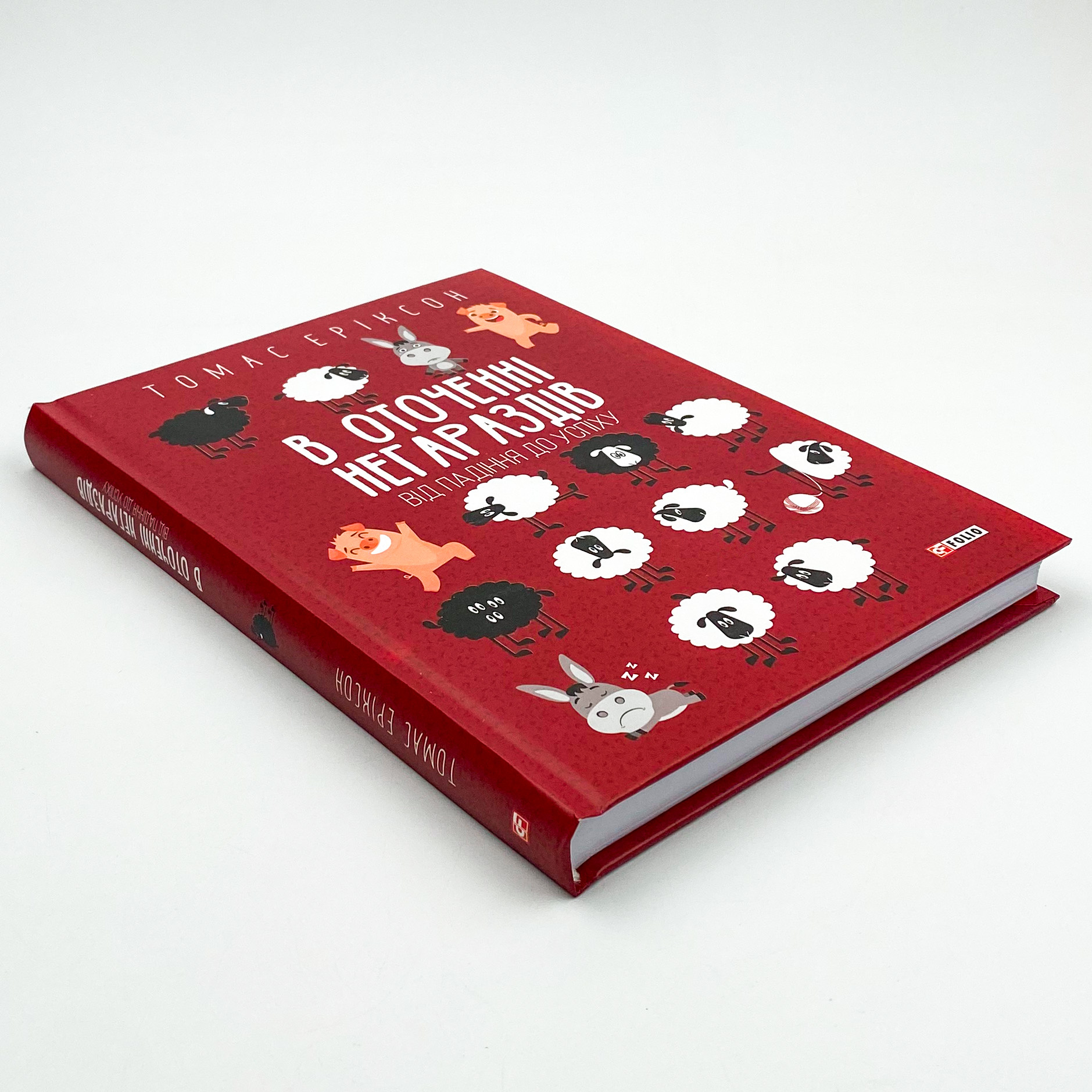 В оточенні негараздів. Від падіння до успіху