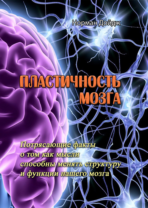 Пластичность мозга. Потрясающие факты о том как мысли способны менять структуру и функции нашего мозга