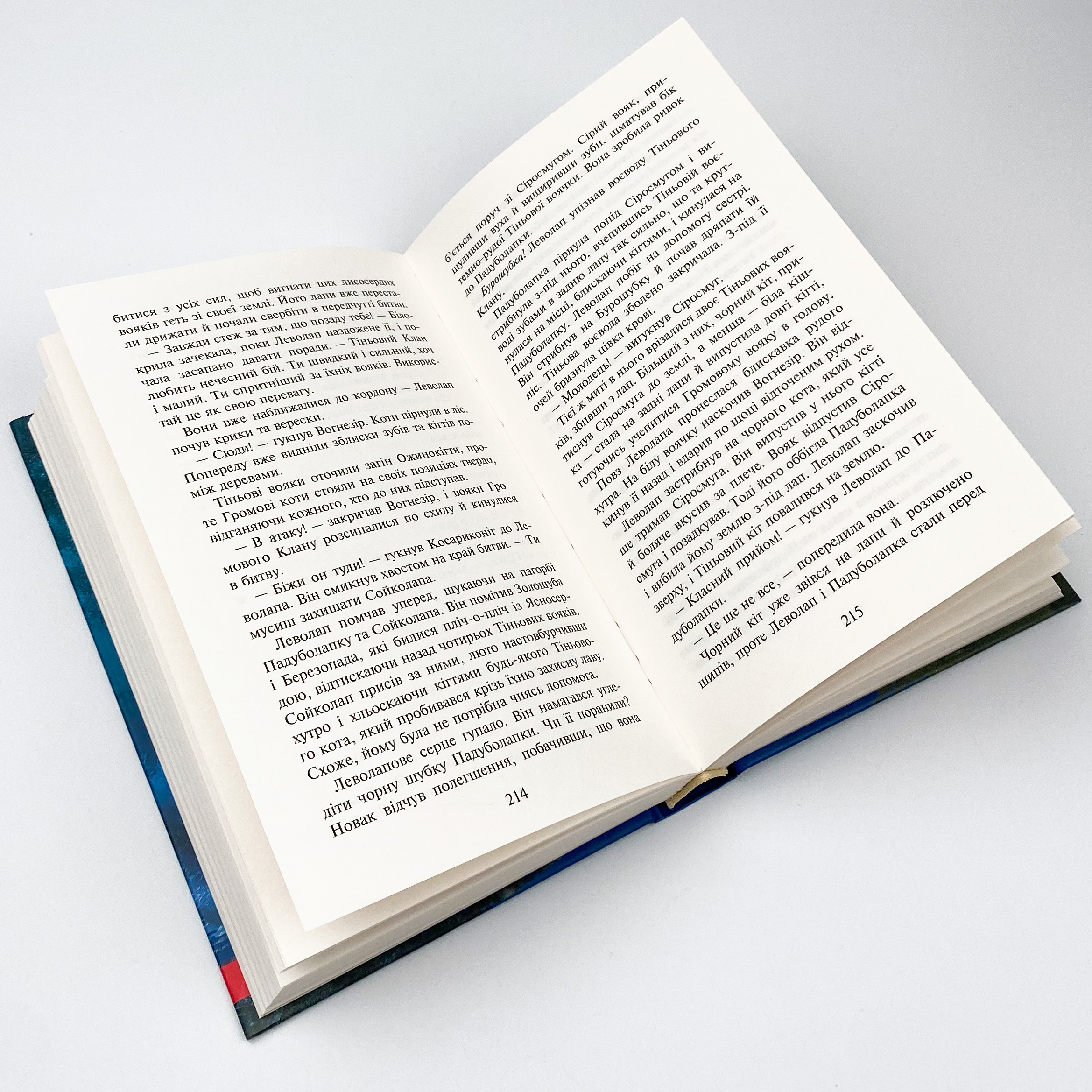 Коти-вояки. Сила трьох. Книга 1. Прозір. Автор — Ерін Гантер. 