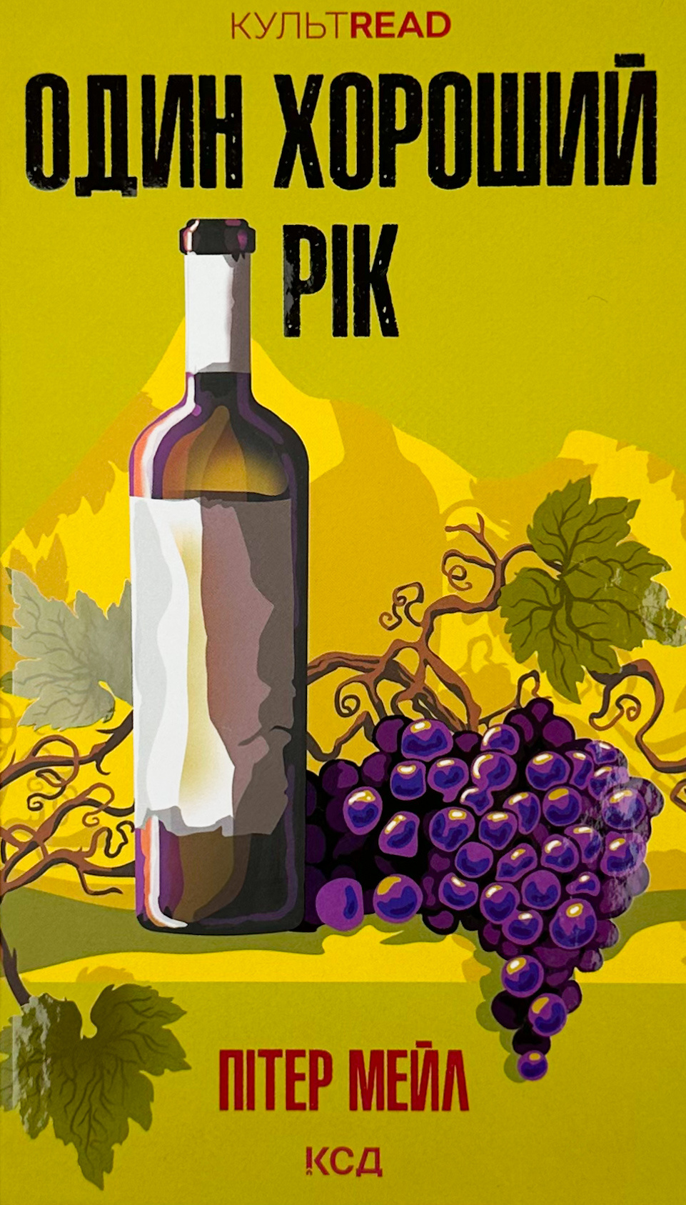 Один хороший рік. Автор — Питер Мейл. 