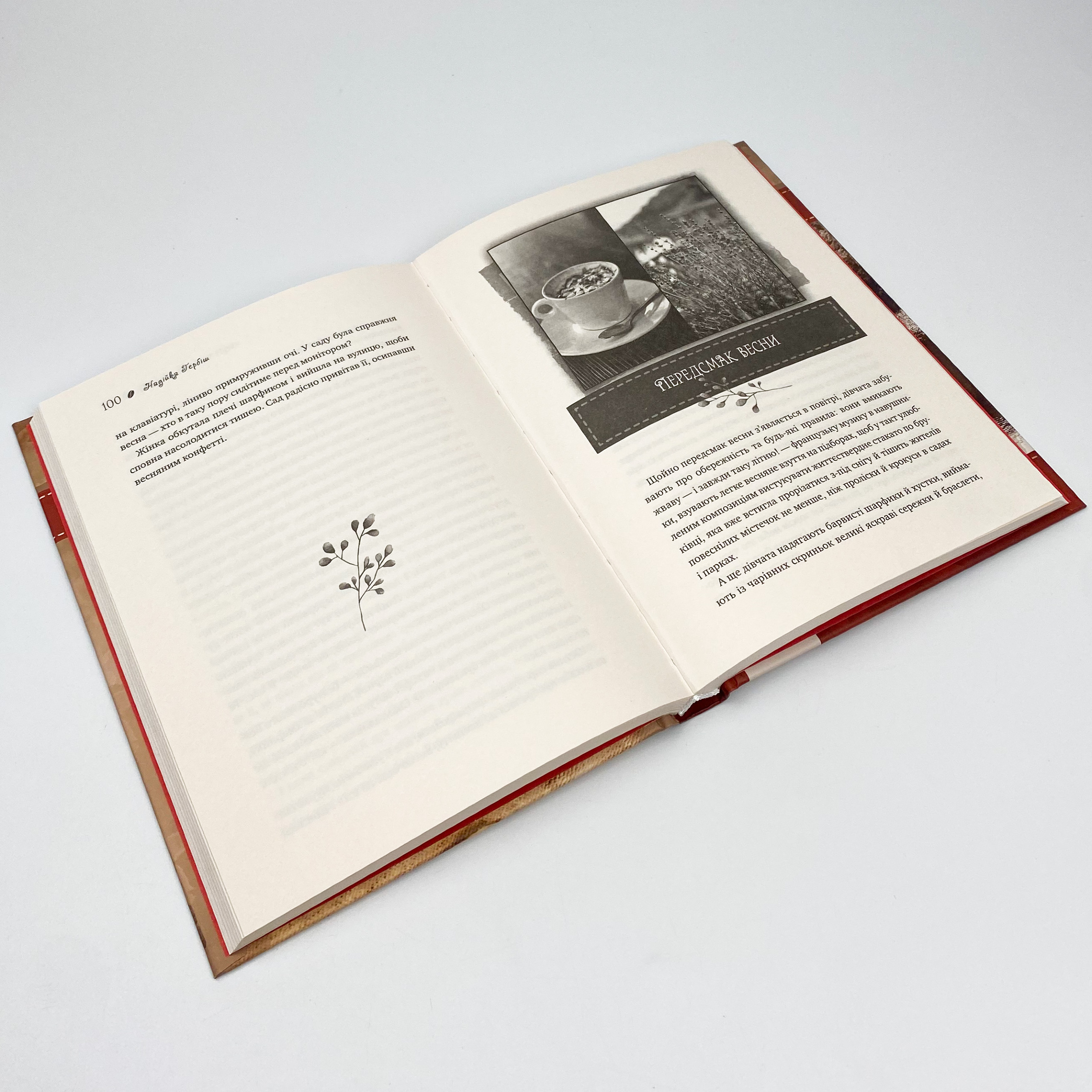 Теплі історії до кави. Автор — Надийка Гербиш. 