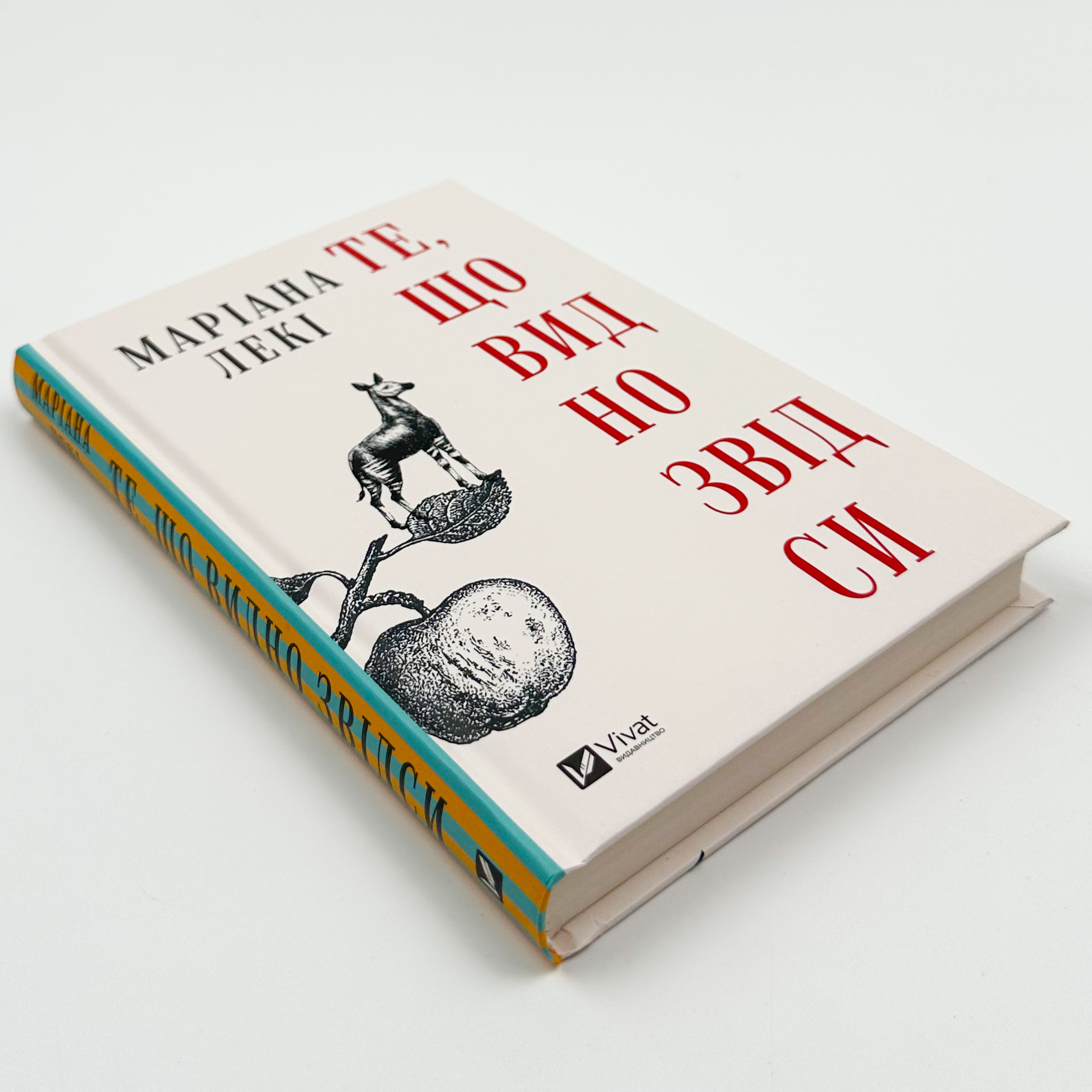 Те, що видно звідси