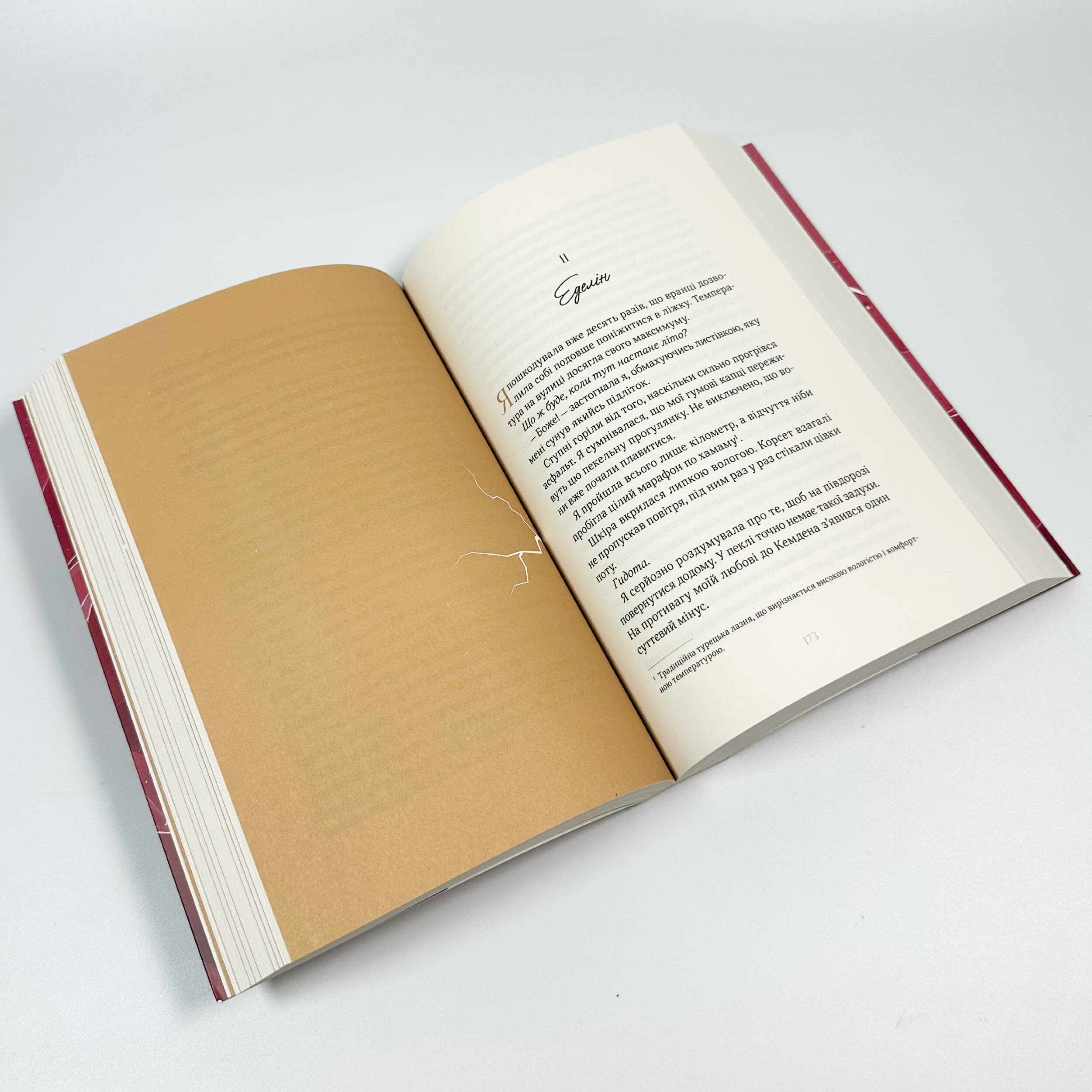 Покрив зламаних. Автор — Еллана Бенко. 