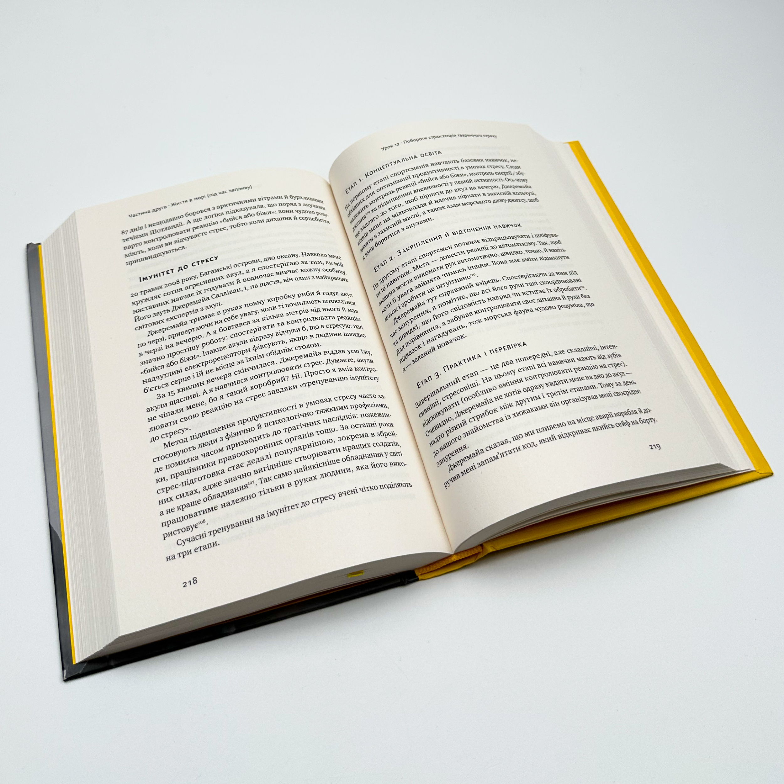 Мистецтво стійкості: стратегії для незламного розуму і тіла. Автор — Росс Еджлі. 