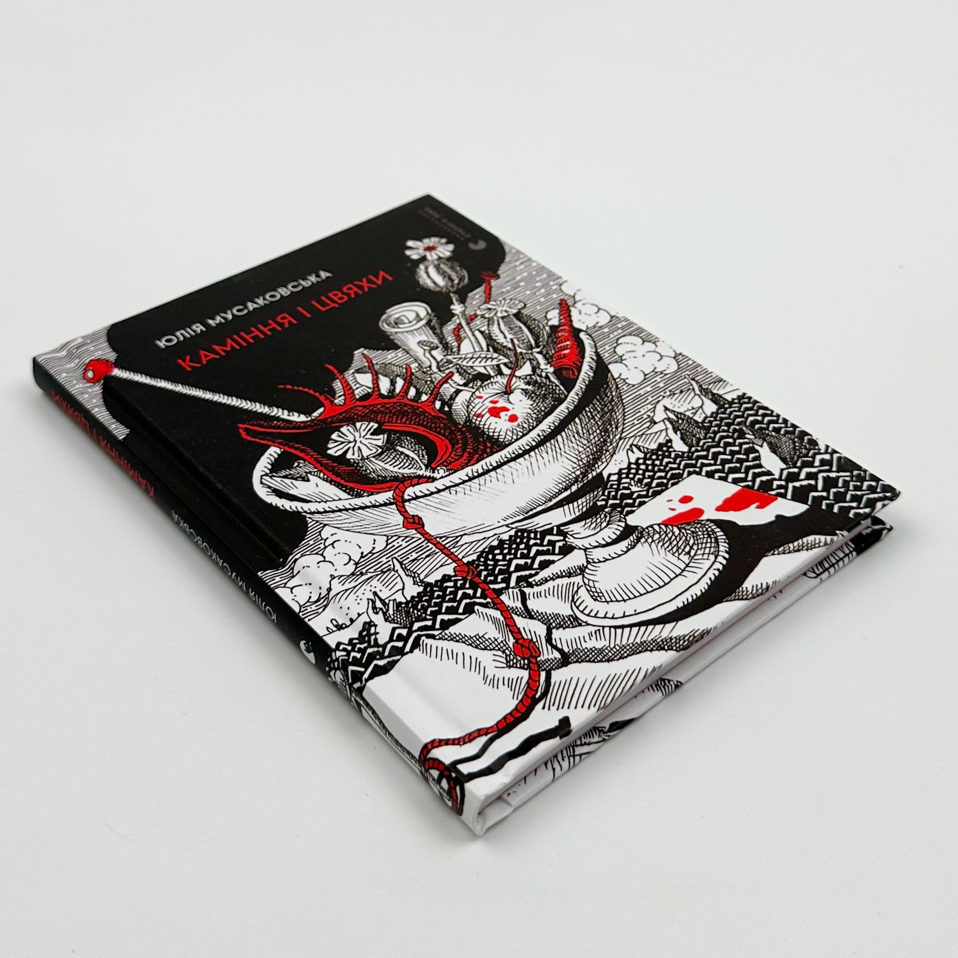 Каміння і цвяхи. Автор — Юлія Мусаковська. 