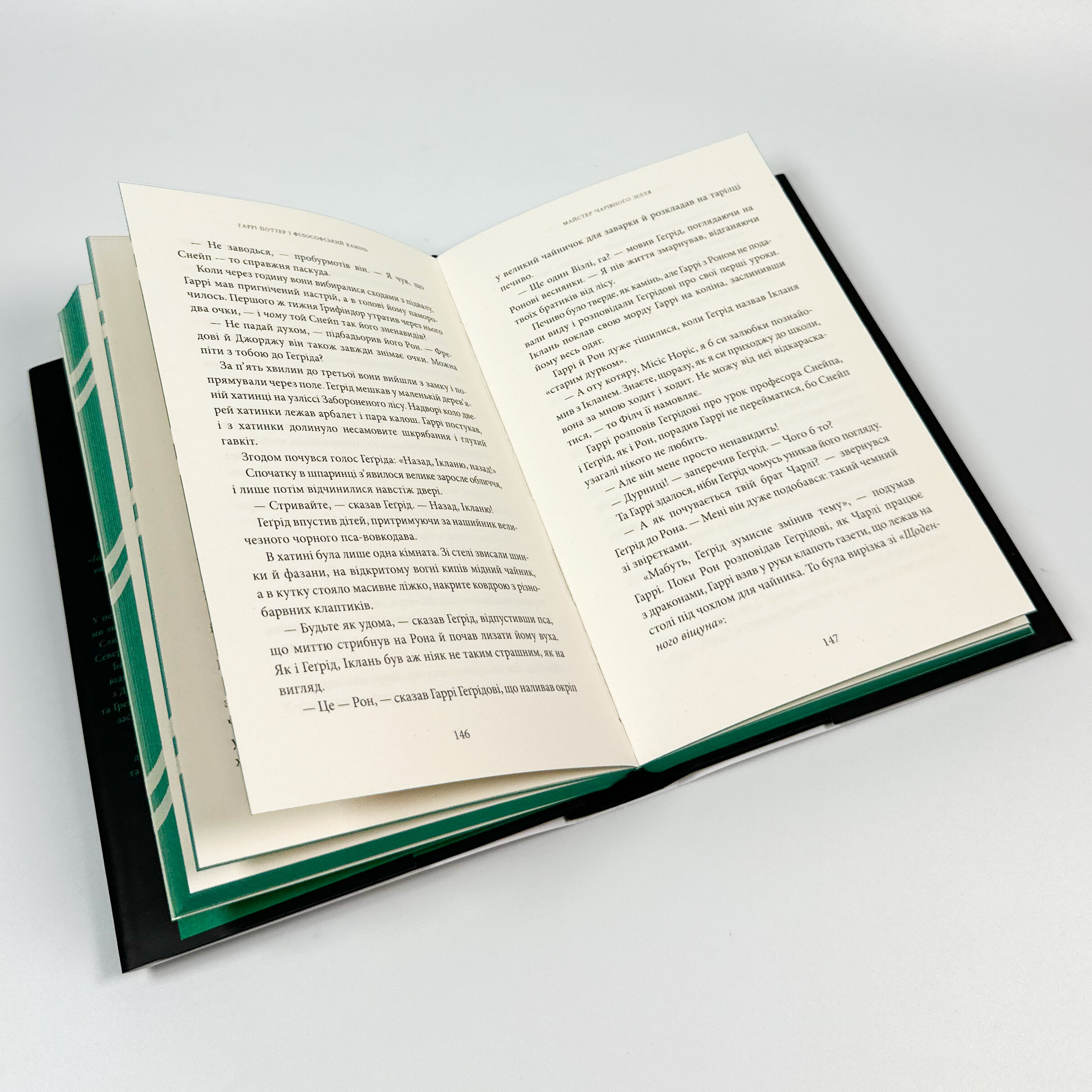 Гаррі Поттер і філософський камінь. Слизеринське видання. Автор — Дж. К. Ролінґ. 