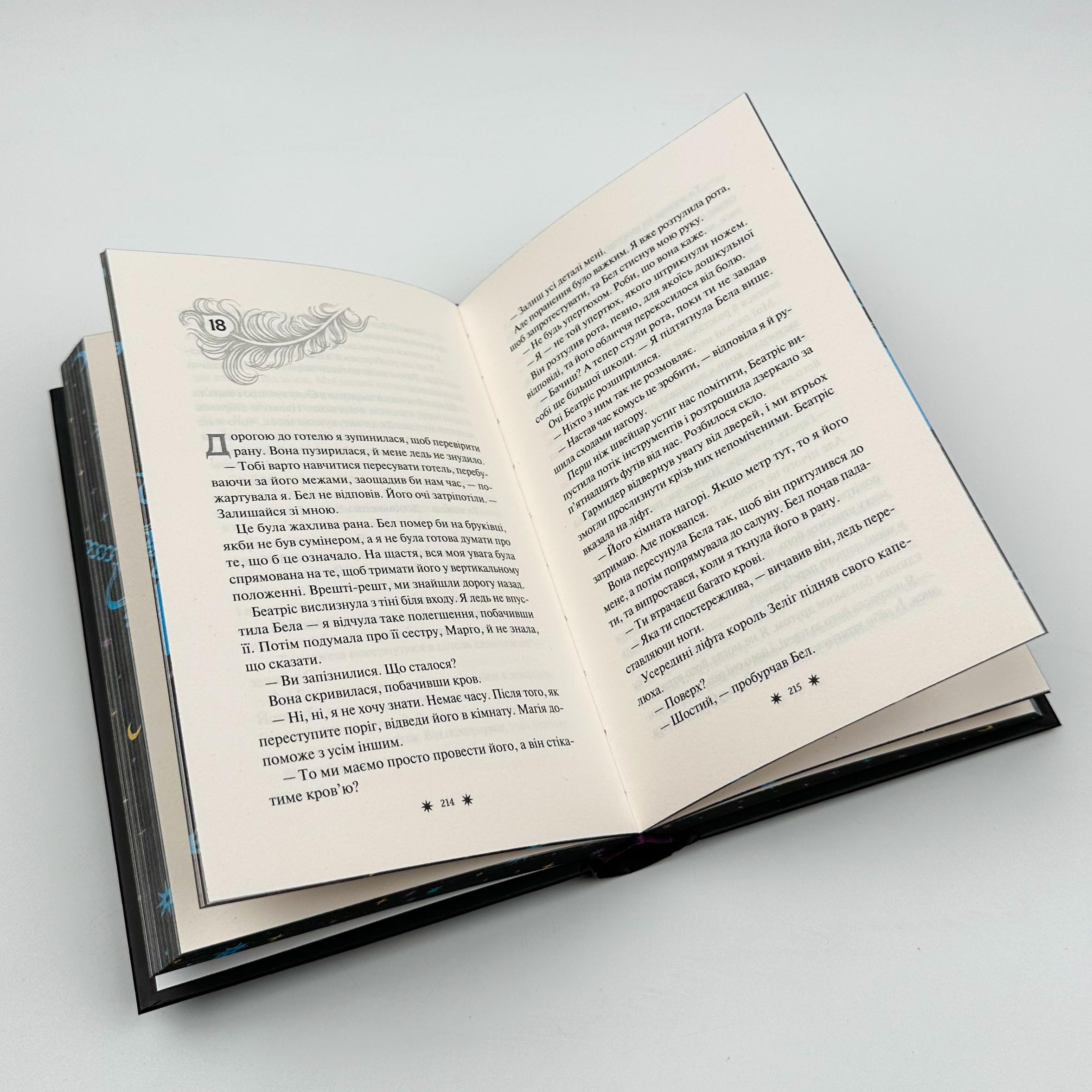 Готель Маґніфік. Автор — Емілі Дж. Тейлор. 