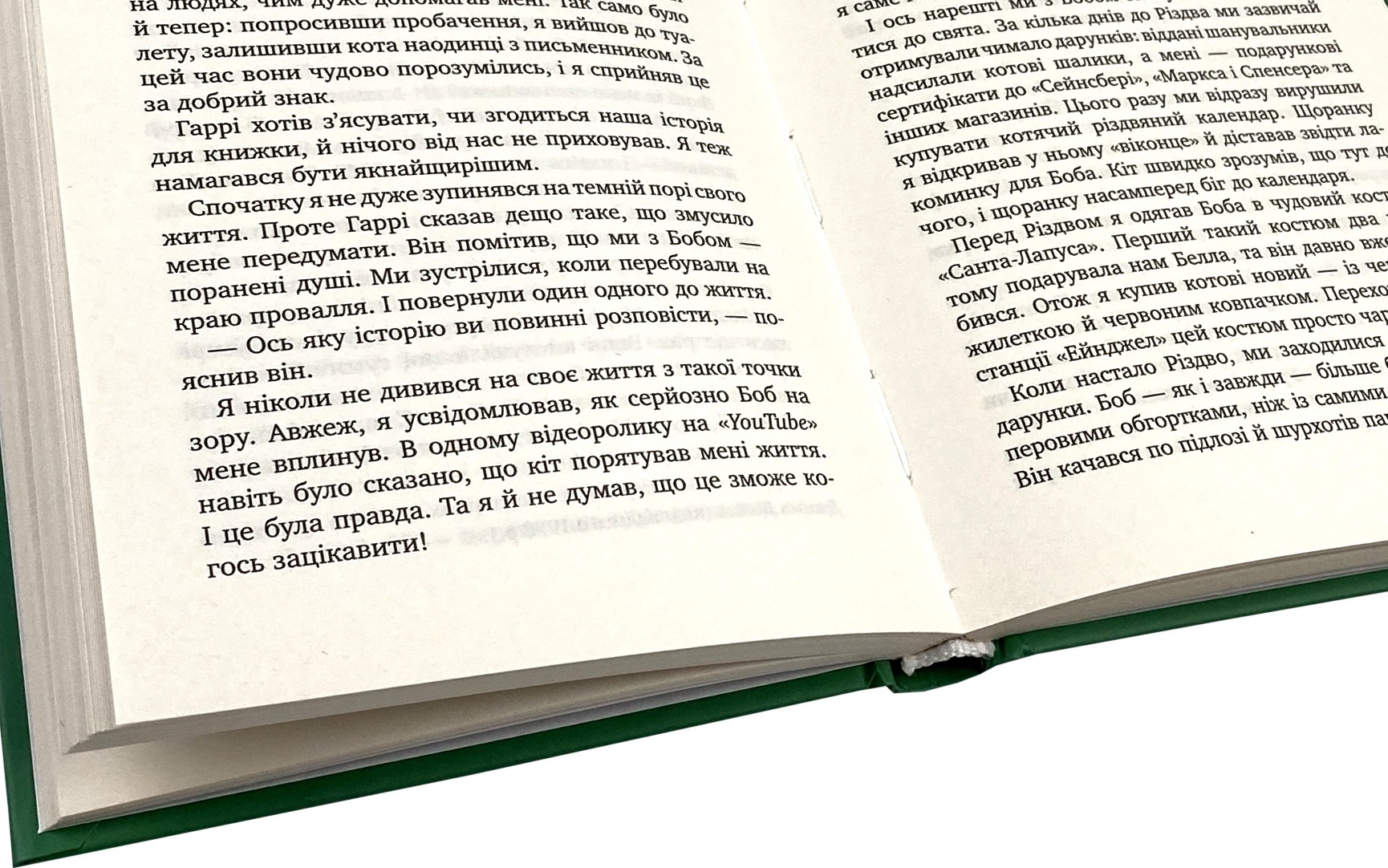 Світ очима кота Боба. Автор — Джеймс Бовен. 