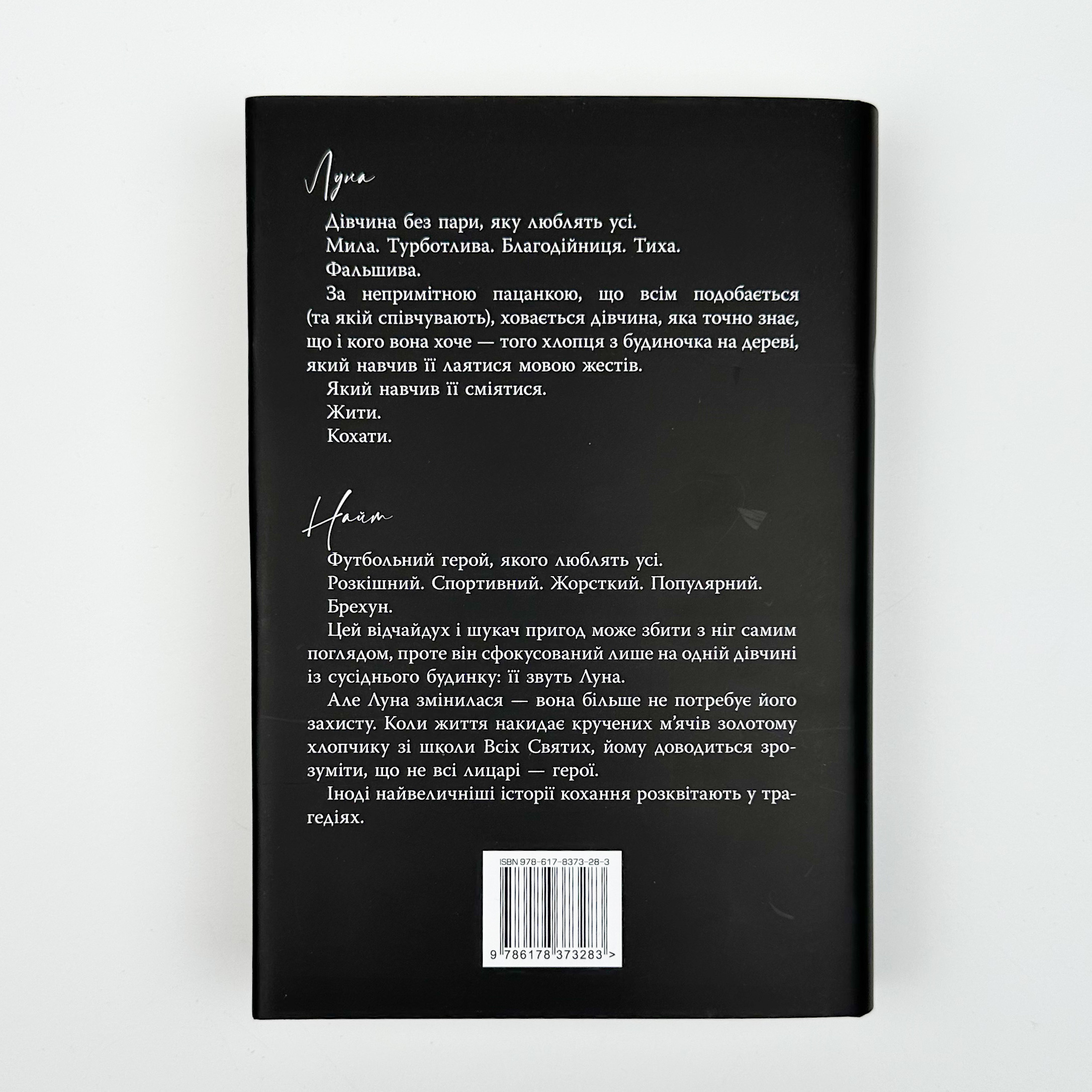 Розбитий лицар. Автор — Л. Дж. Шен. 