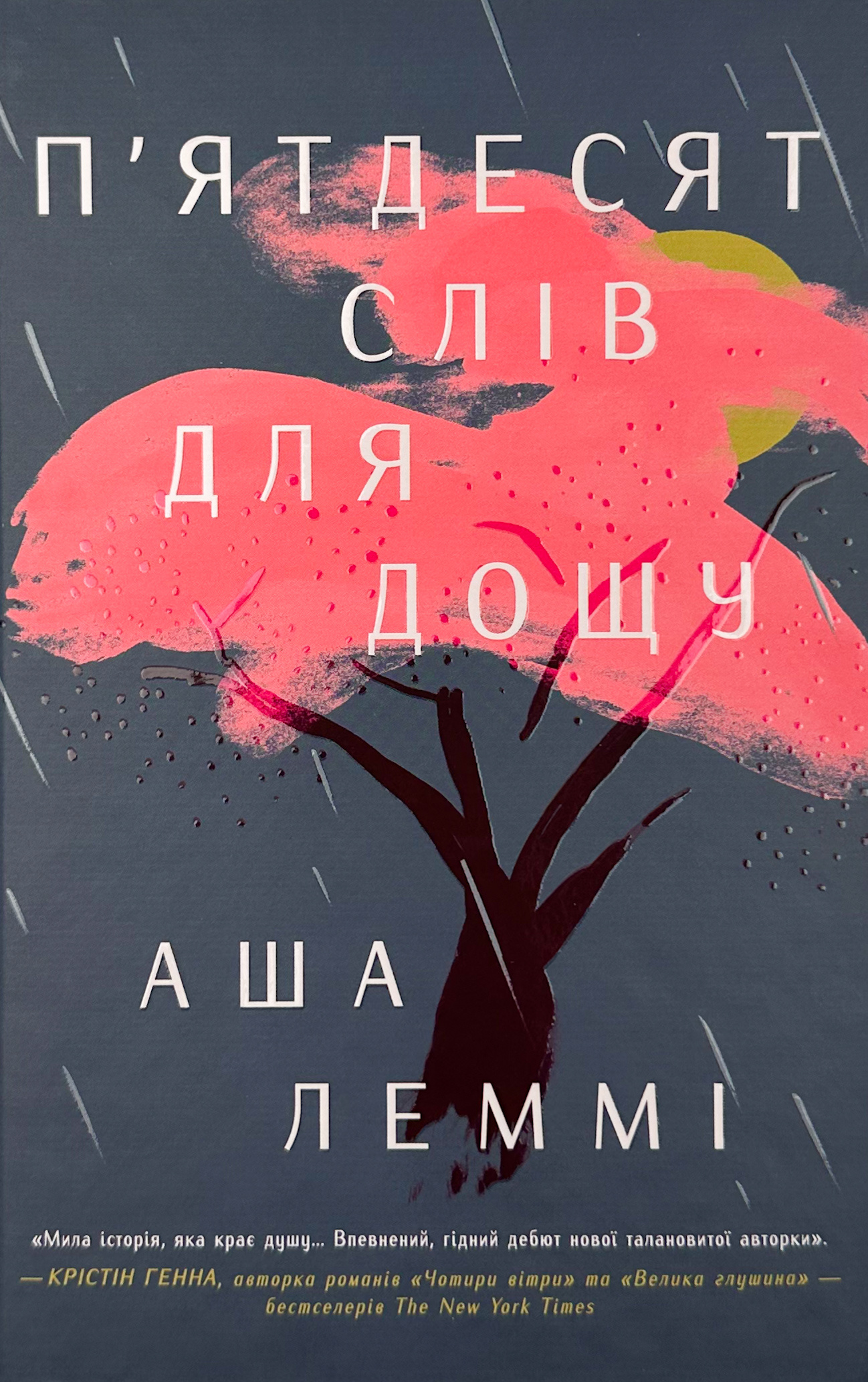 П’ятдесят слів для дощу