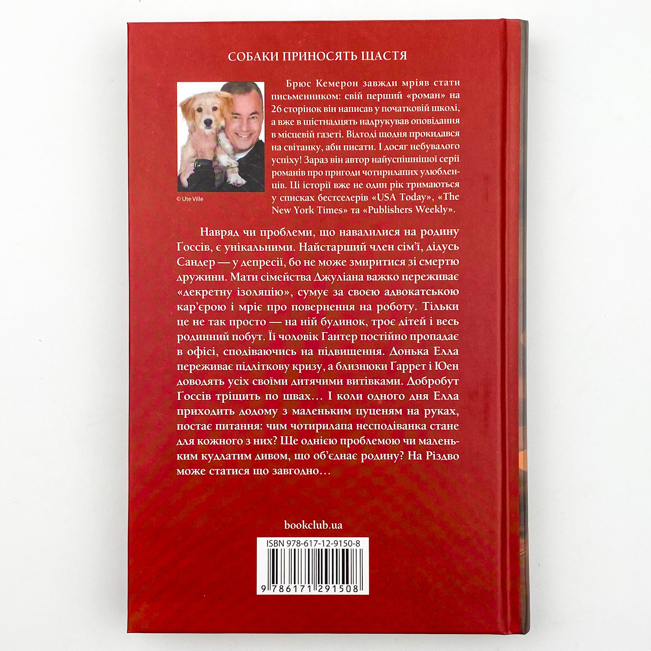 Ідеальне Різдво для собаки