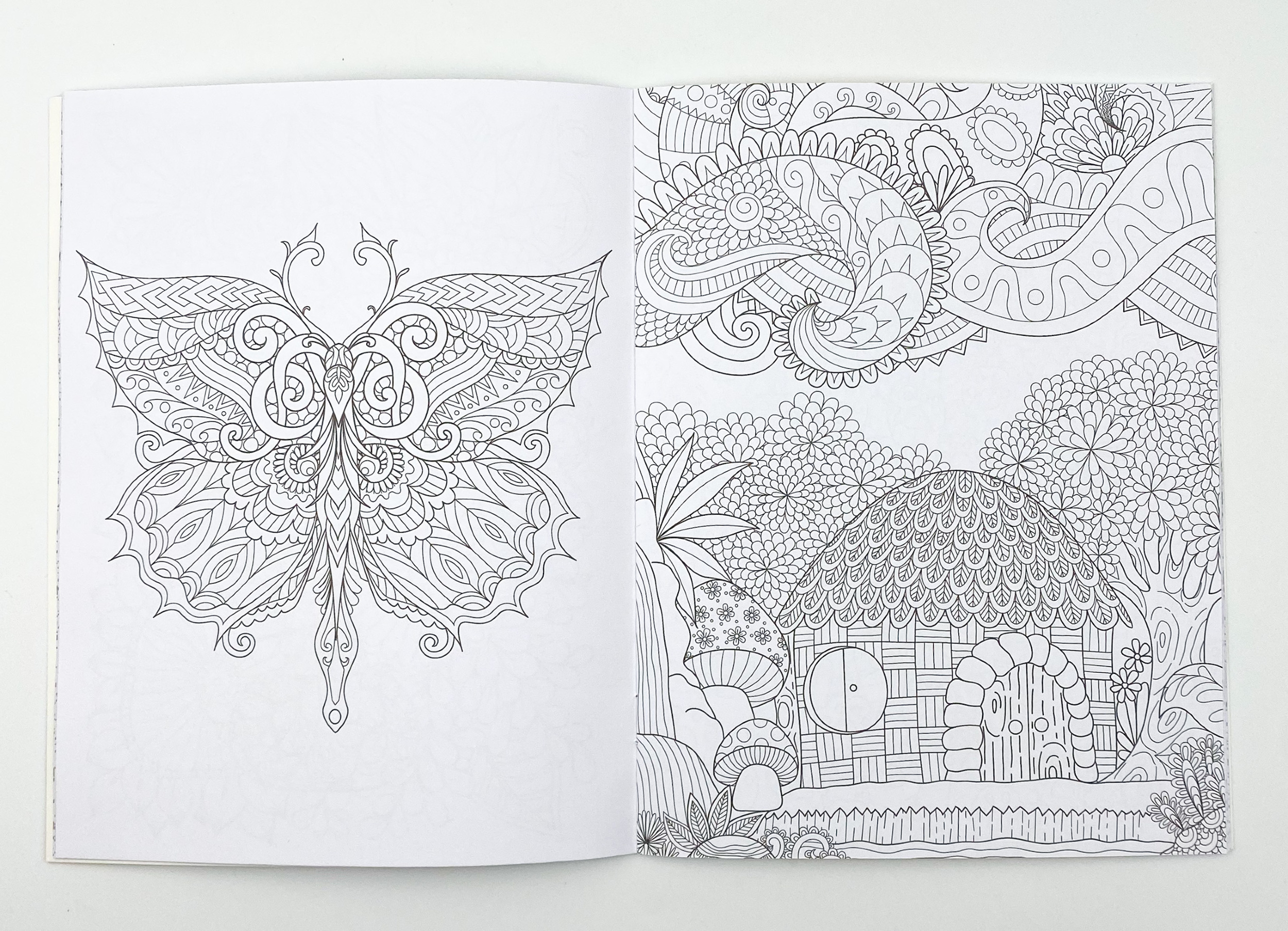 Розмальовка-антистрес. Ідеальна гармонія. . 
