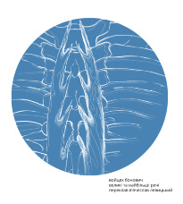 Великі та найбільші речі