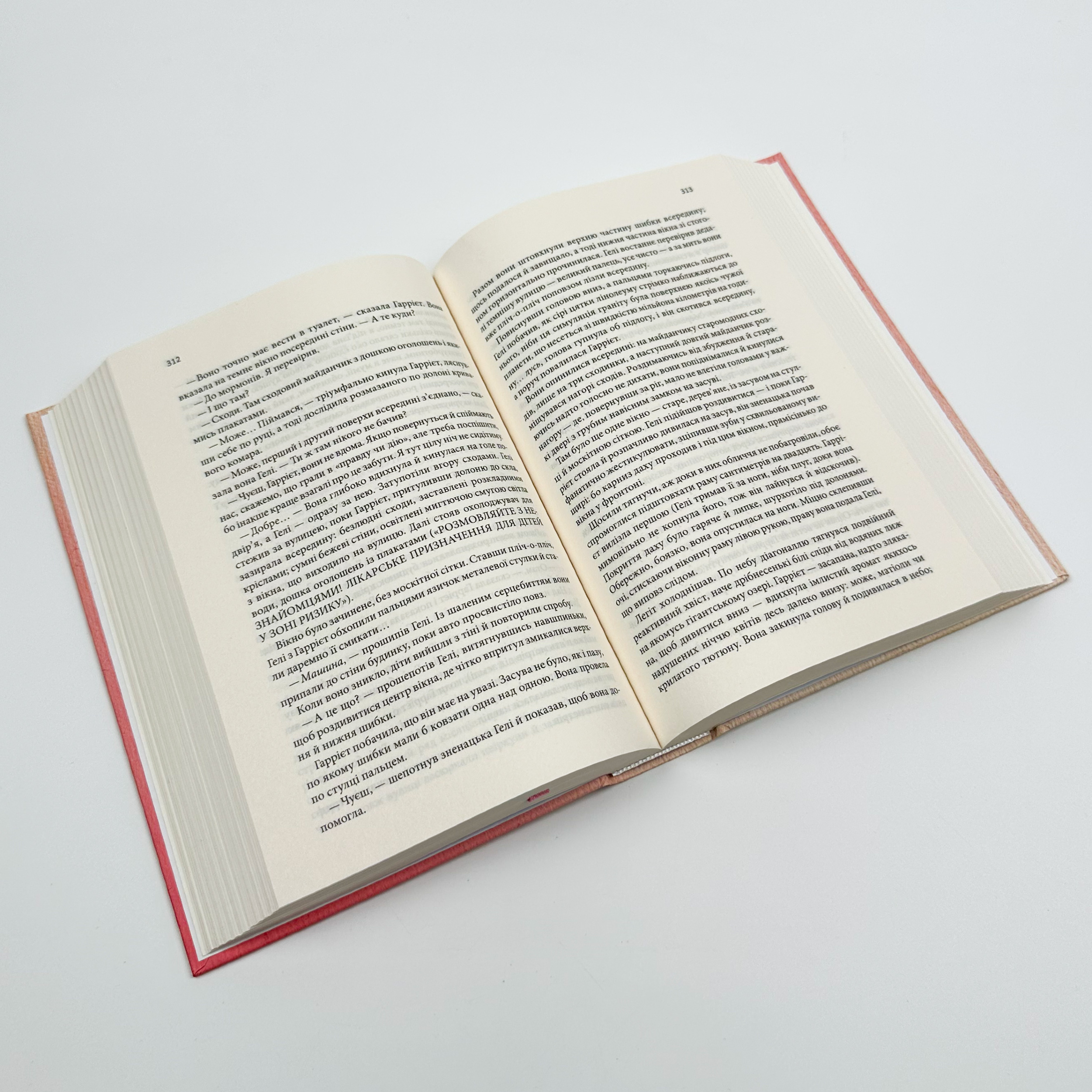 Маленький друг. Автор — Донна Тартт. 