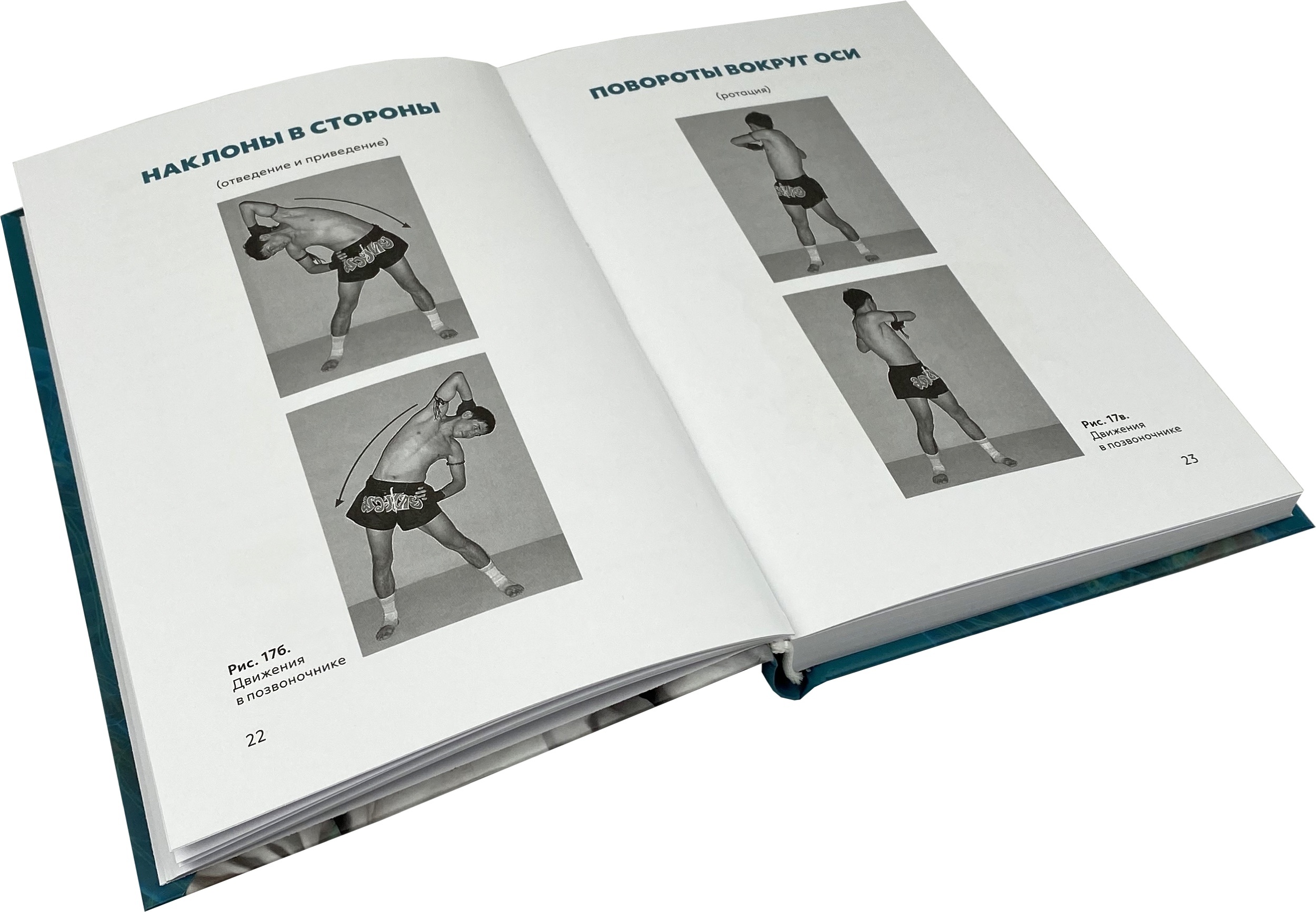 Здоровая спина. Автор — Владимир Голод. 