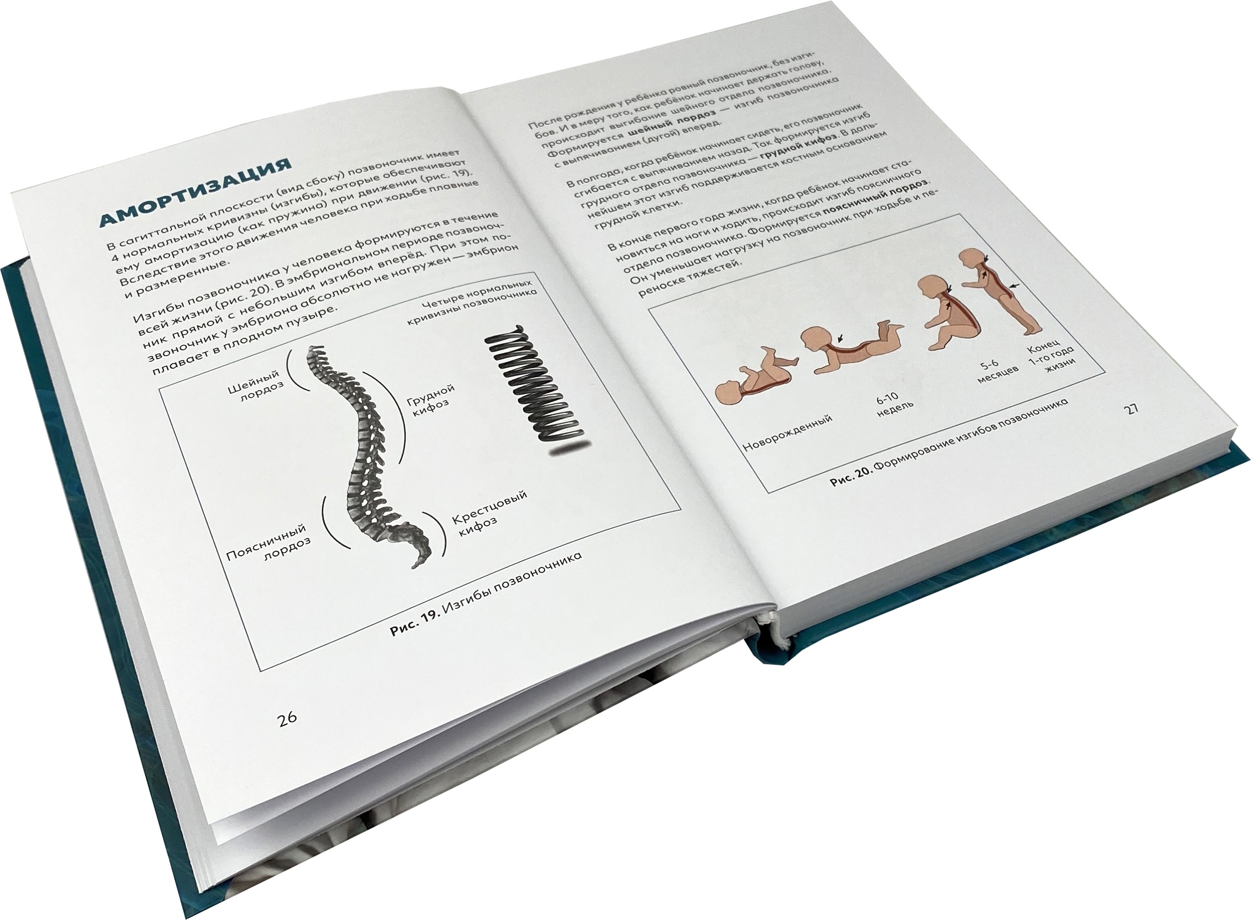 Здоровая спина. Автор — Владимир Голод. 