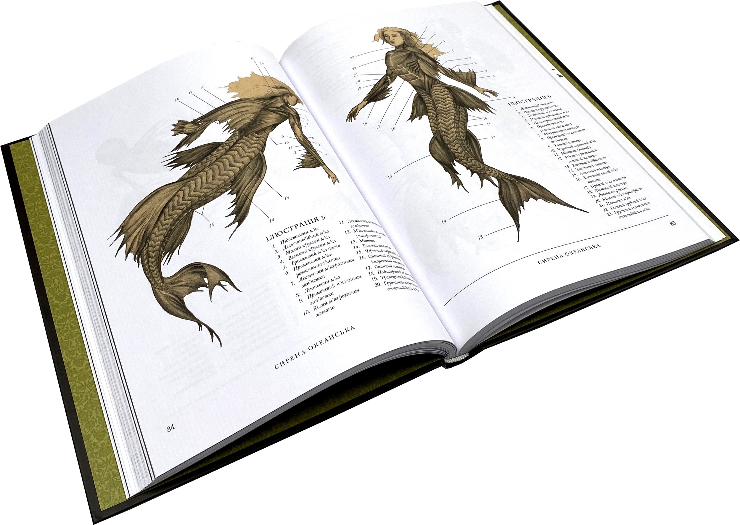 Воскреситель. Анатомія фантастичних істот. Автор — Эрик Хадспет. 