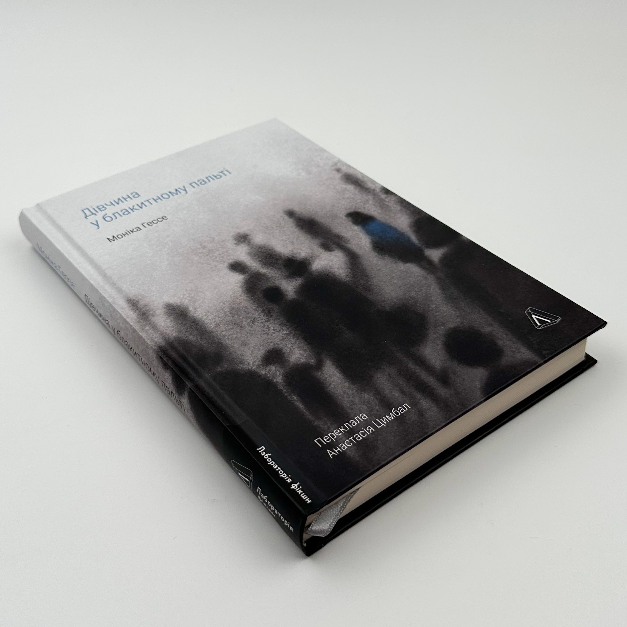 Дівчина у блакитному пальті. Автор — Моніка Гессе. 