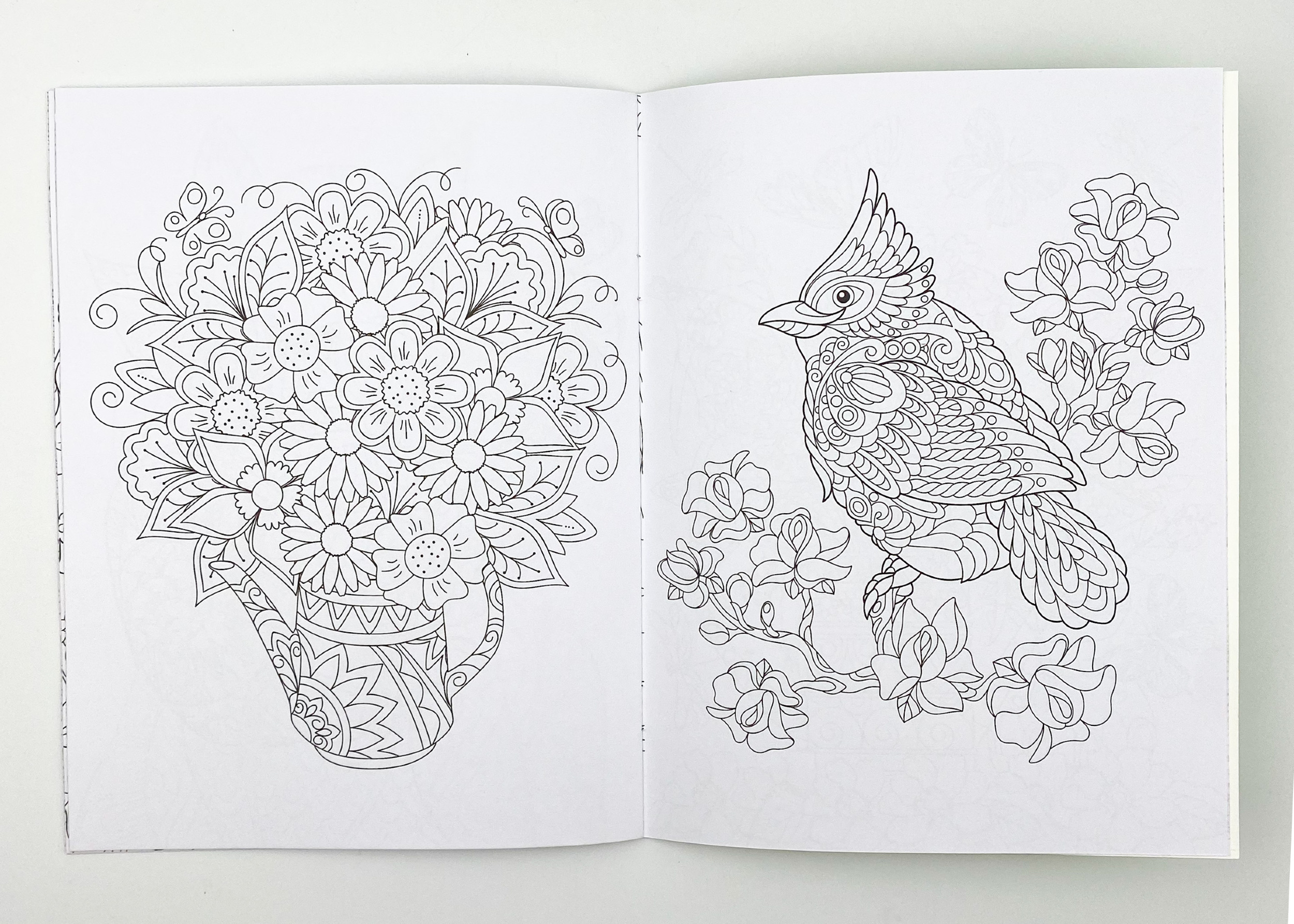 Розмальовка-антистрес. Творча насолода. . 