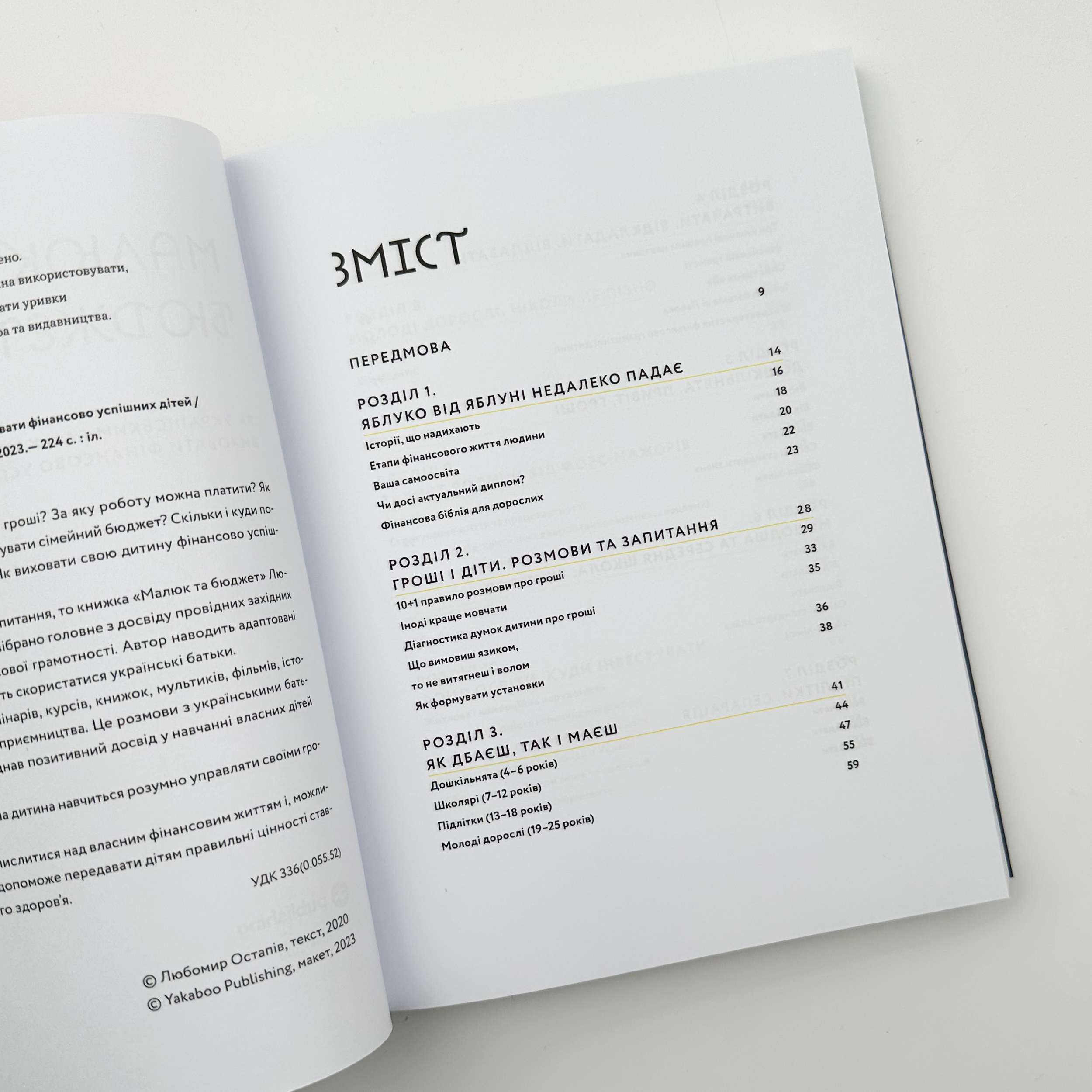 Малюк та бюджет. Як українським батькам виховати фінансово успішних дітей. Автор — Любомир Остапів. 