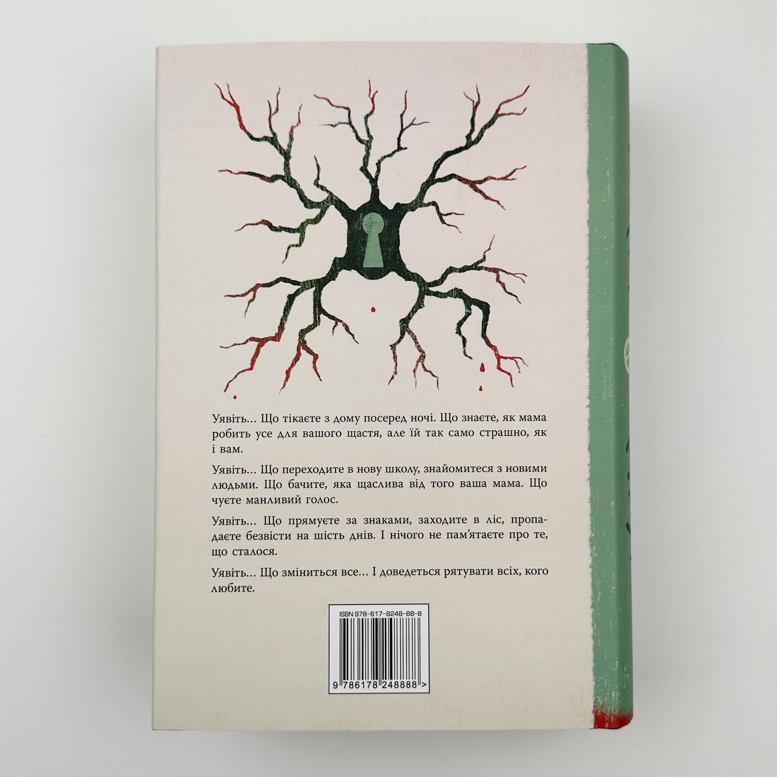 Уявний друг. Автор — Стівен Чбоскі. 