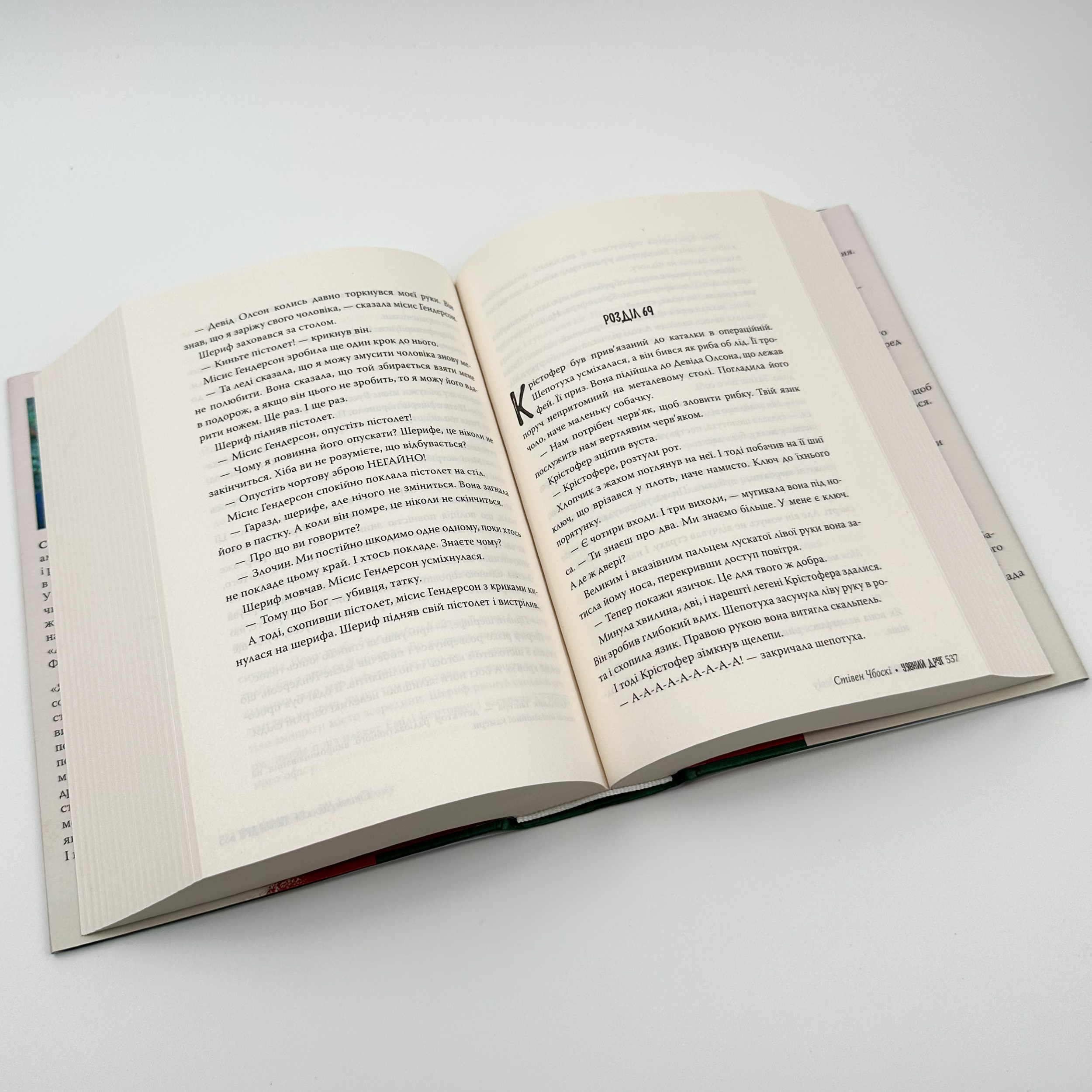 Уявний друг. Автор — Стівен Чбоскі. 