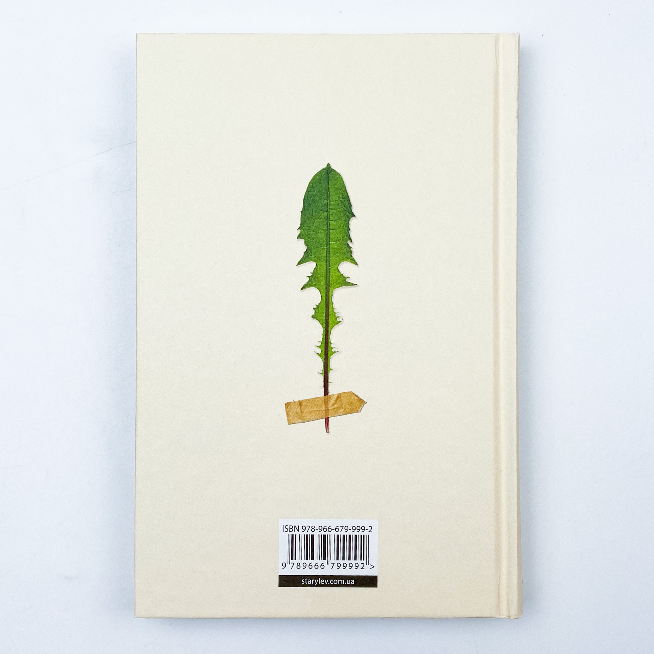 Кульбаба. Автор — Квітка Налада. 