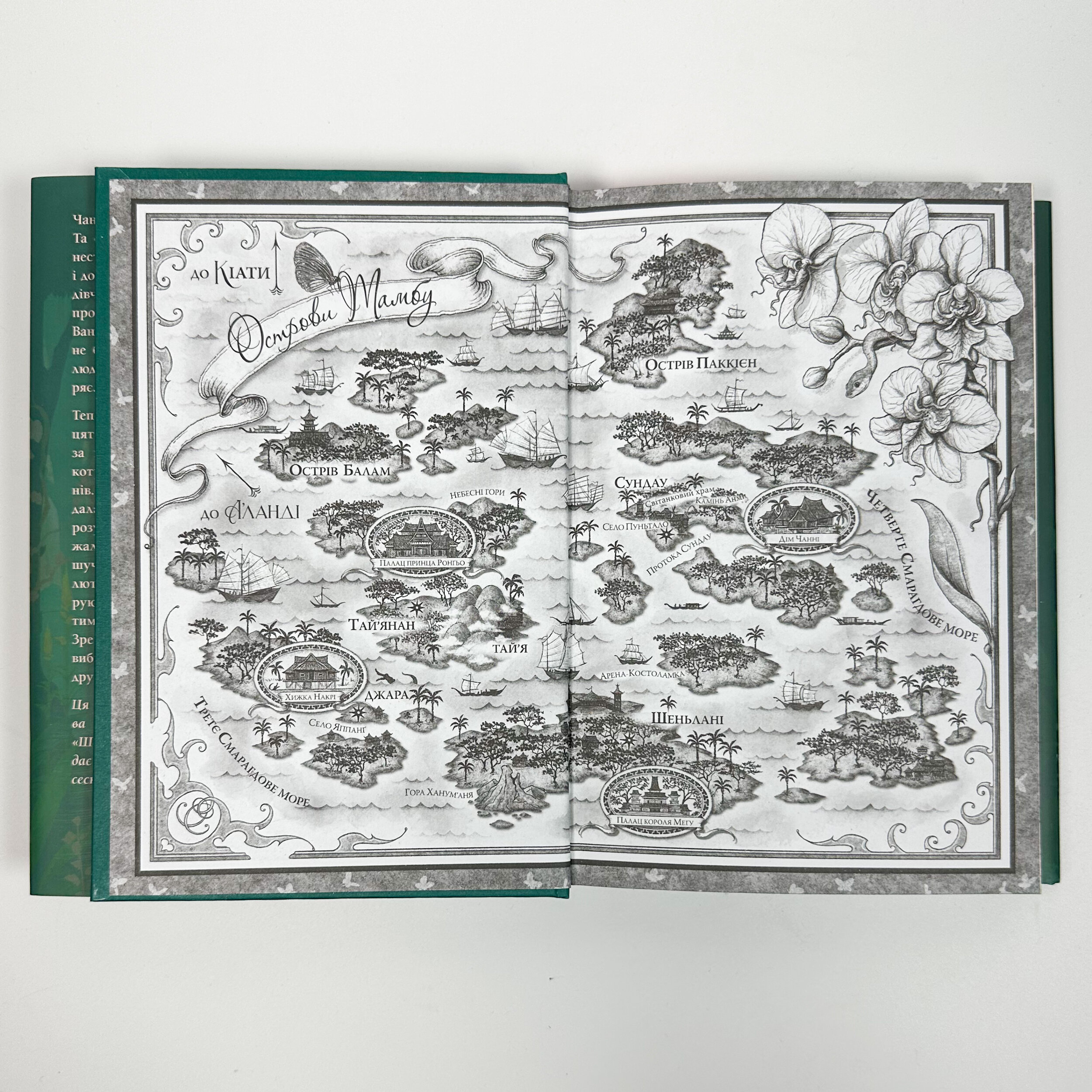 Її осяйне прокляття. Автор — Елізабет Лім. 