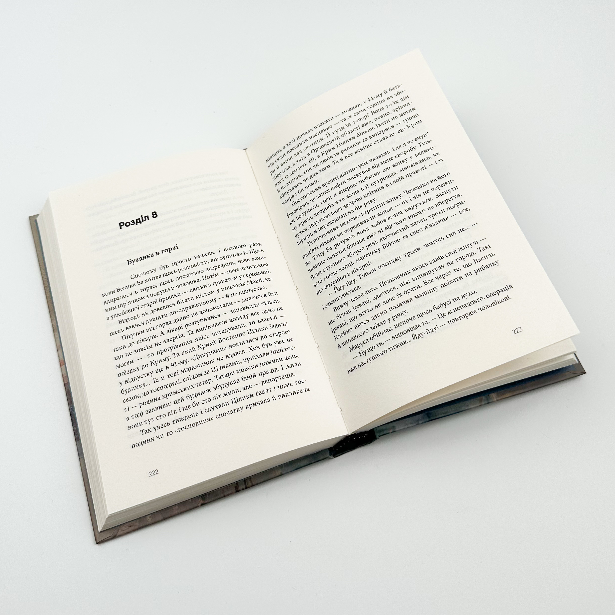 Дім для Дома. Автор — Вікторія Амеліна. 