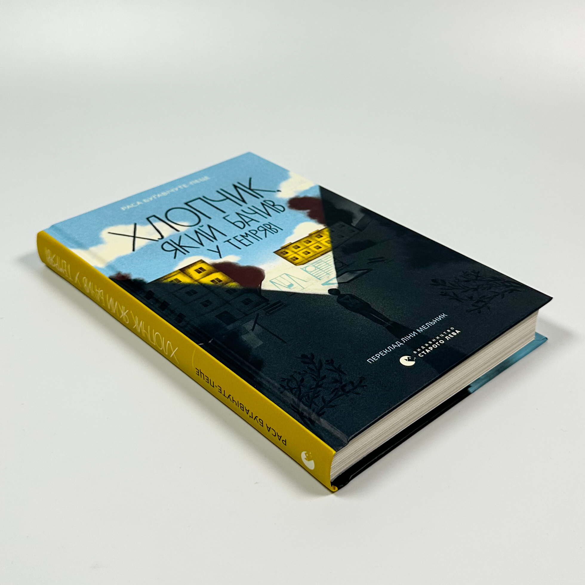 Хлопчик, який бачив у темряві. Автор — Раса Буґавічуте-Пеце. 