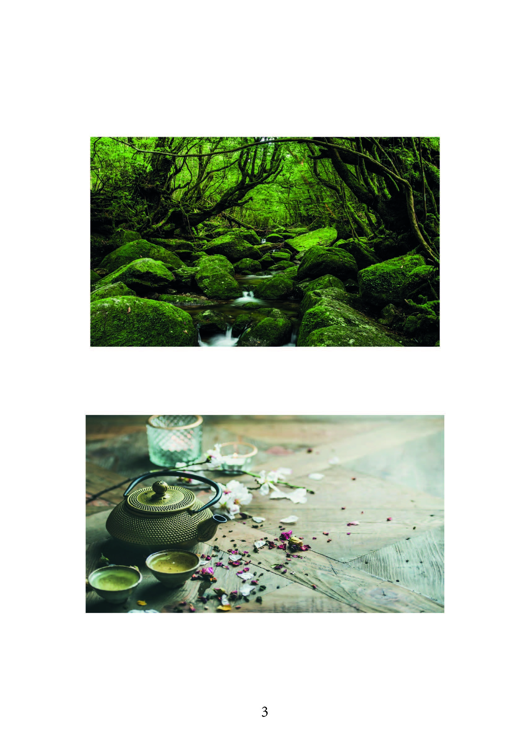 Ітіго Ітіє. Японське мистецтво бути щасливим тут і зараз