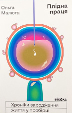 Плідна праця. Хроніки зародження життя у пробірці