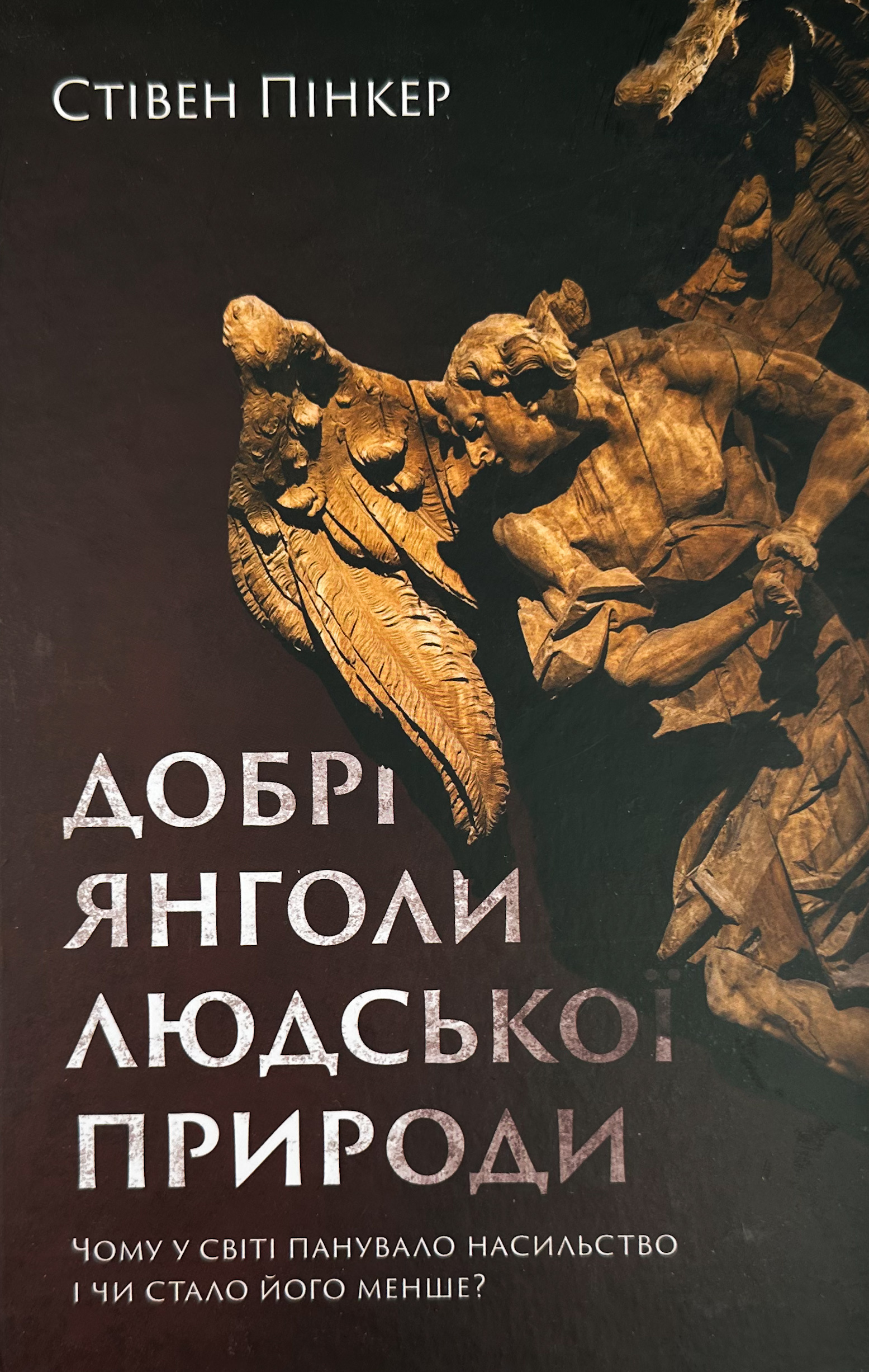 Добрі янголи людської природи. Чому у світі панувало насильство і чи стало його менше?