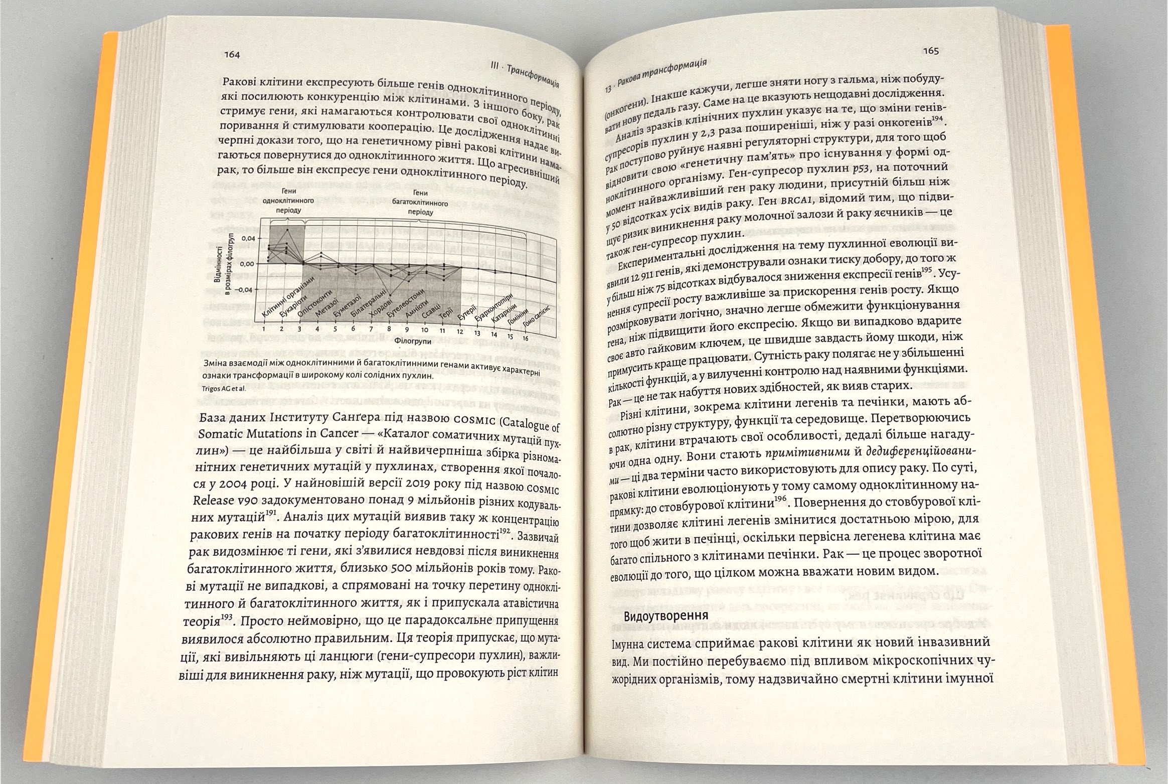 Рак. Новий підхід у дослідженні хвороби. Автор — Джейсон Фанг. 