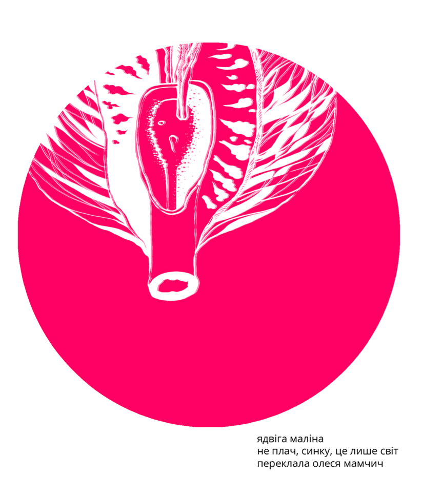 Не плач, синку, це лише світ. Автор — Ядвіга Маліна