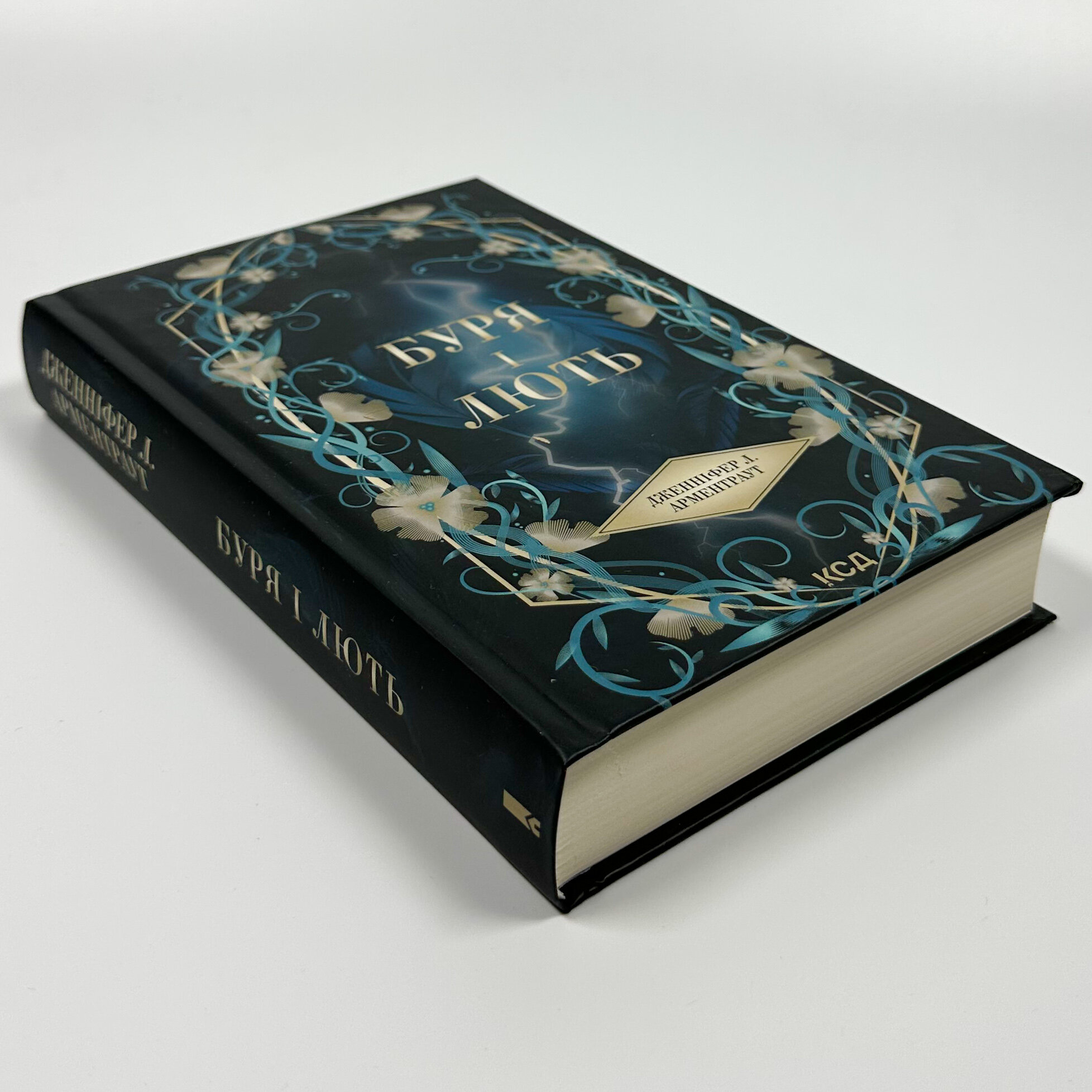 Буря і лють. Книга 1