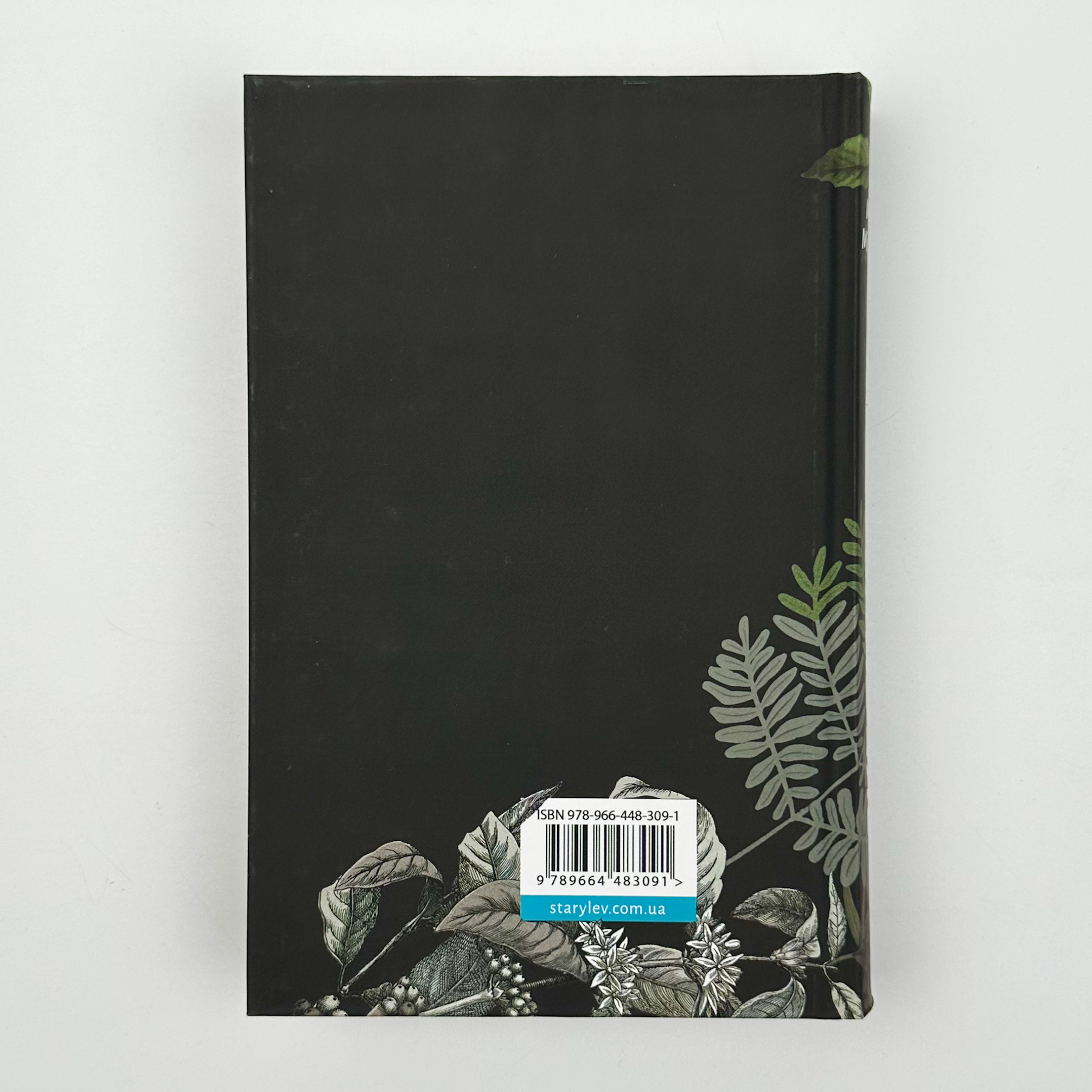 Яке тихе місце. Автор — Меган Міранда. 