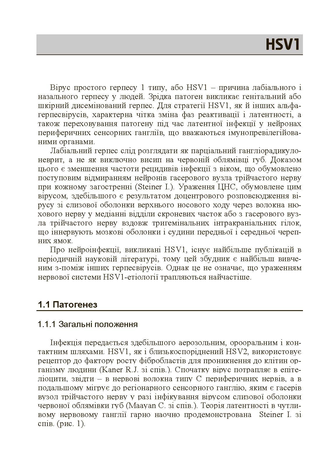 Герпесвірусні нейроінфекції людини. Автор — Мальцев Д.В.. 