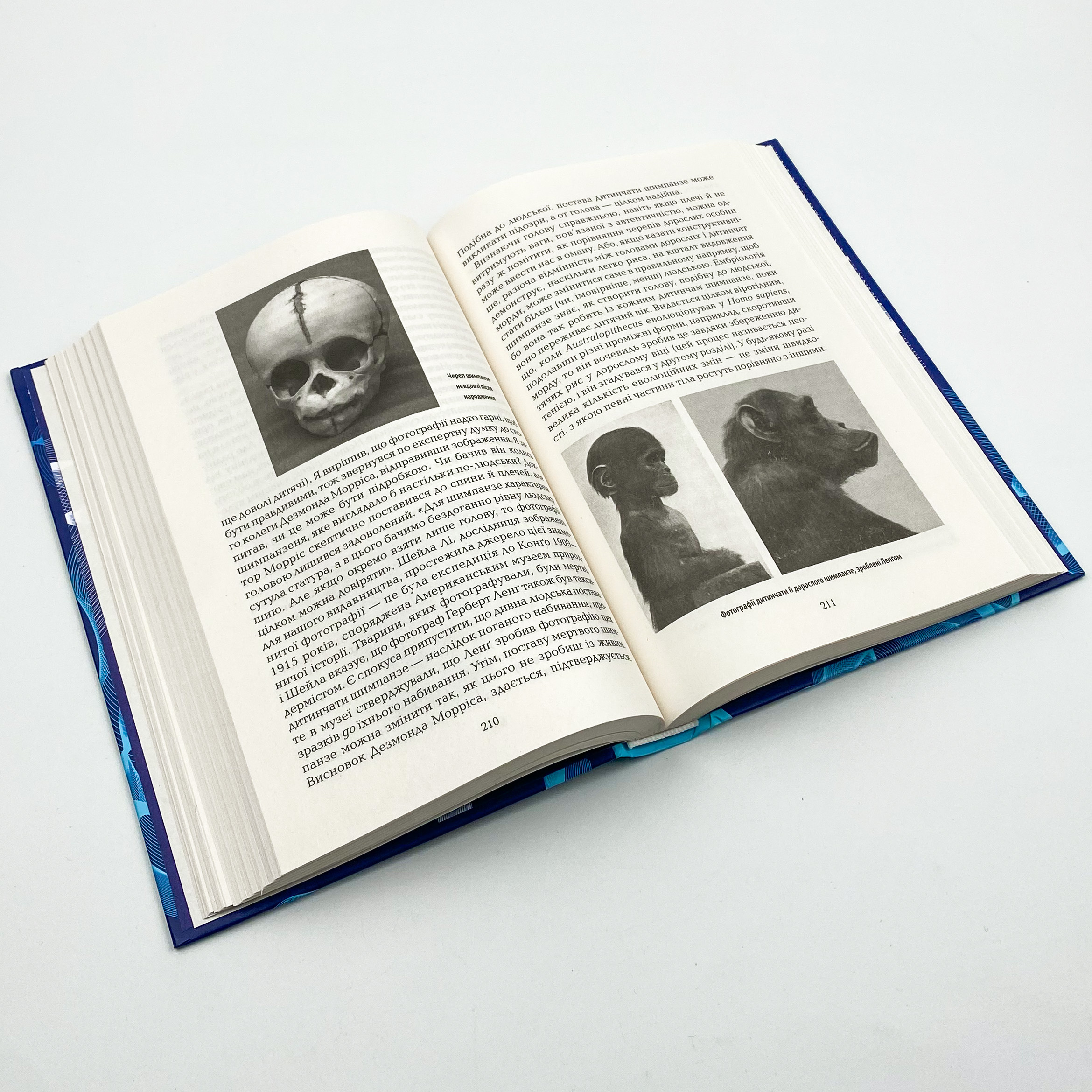 Найграндіозніше шоу на Землі: доказ еволюції. Автор — Ричард Докинз. 