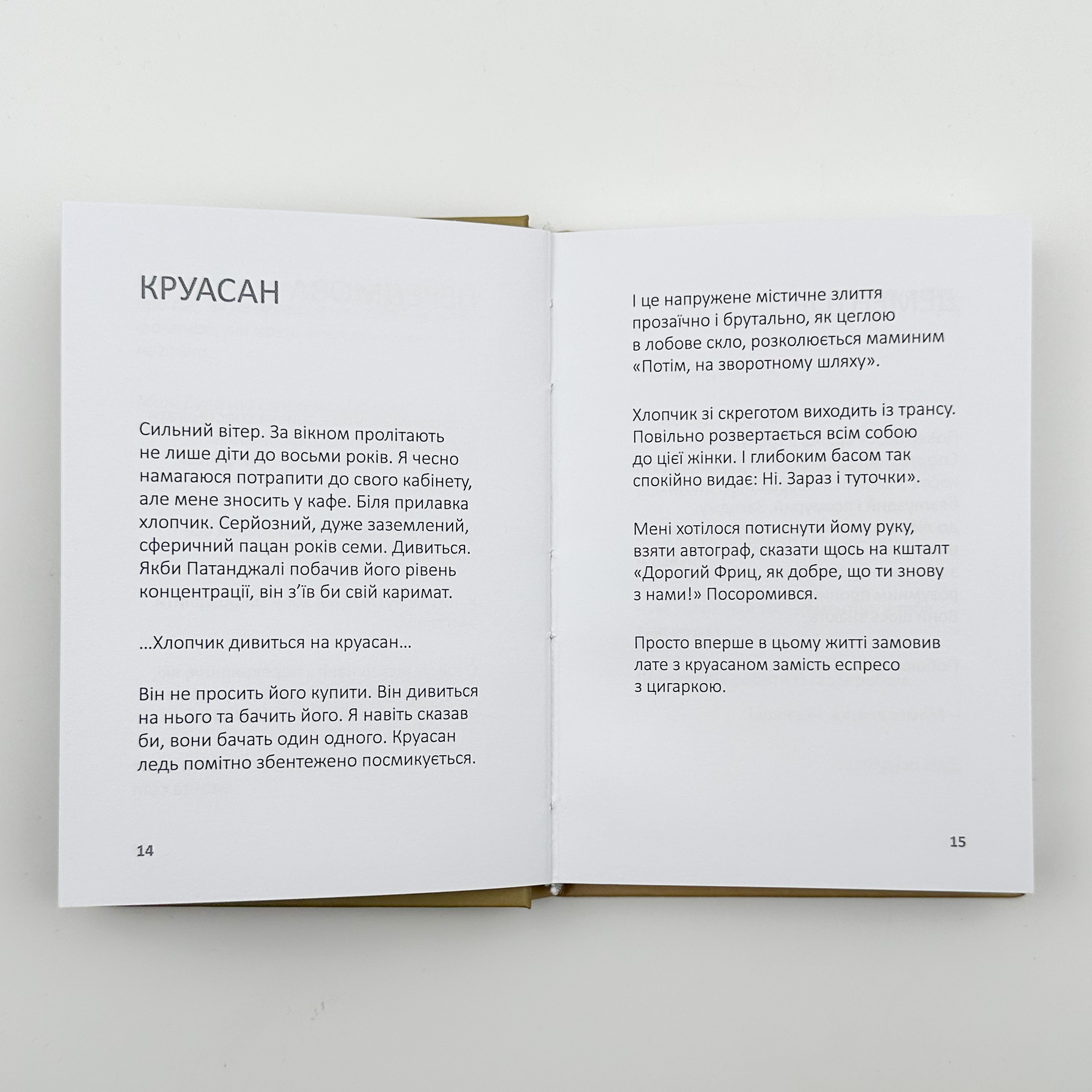 Лизнути джмеля. Ефект спостерігача. Автор — Ігор Забута. 