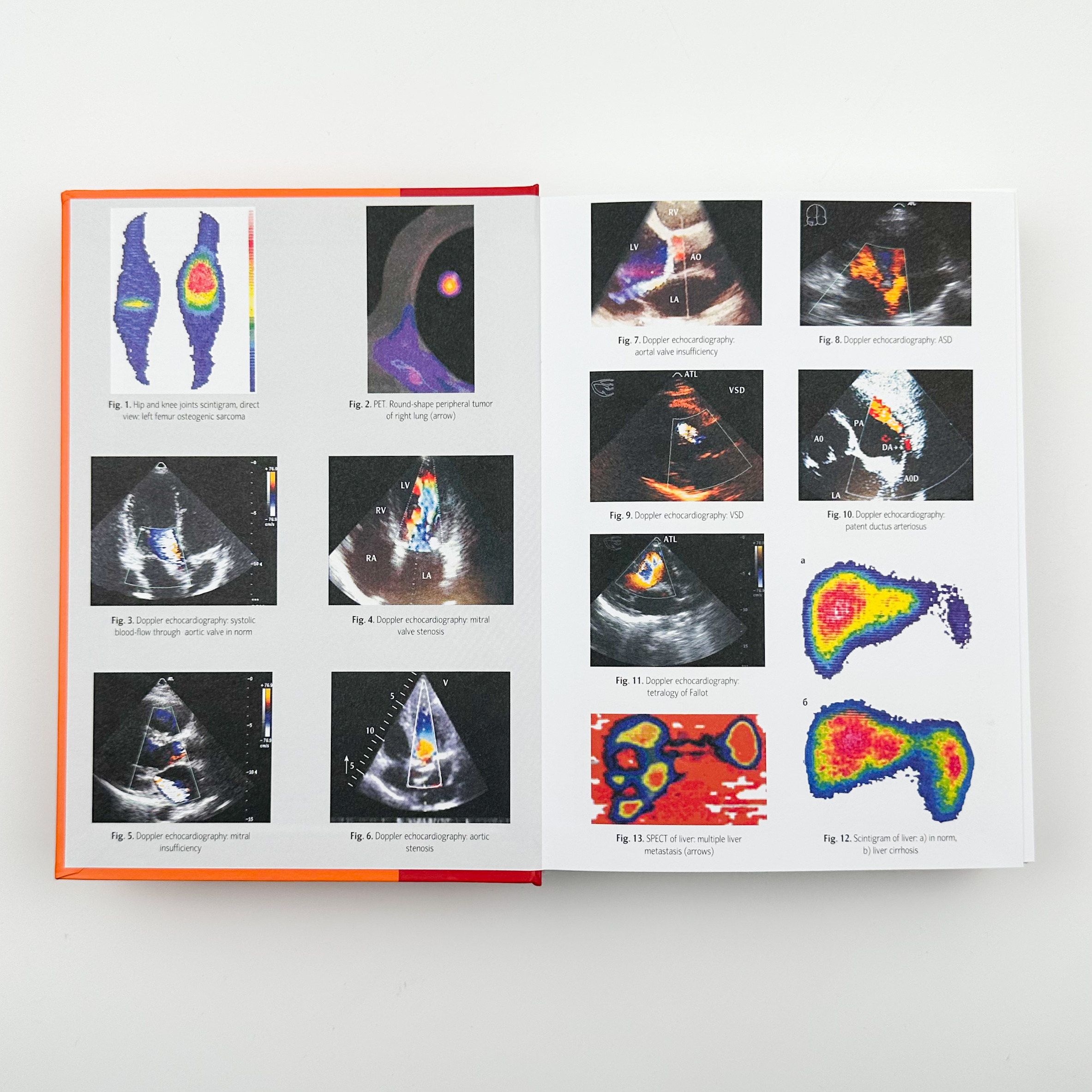 Radiology. Radiotherapy. Diagnostic Imaging