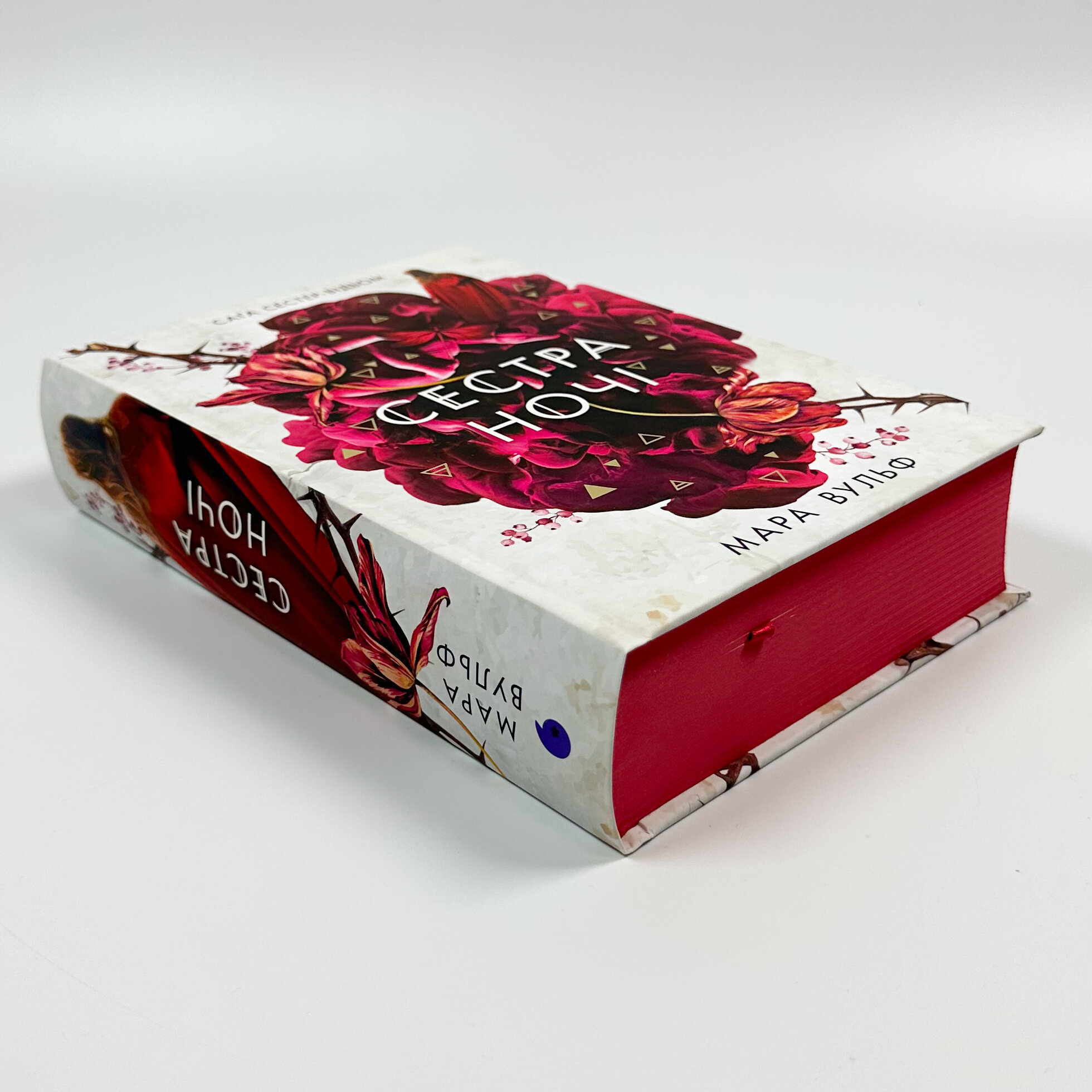 Сестра ночі. Книга 3. Сага сестер-відьом