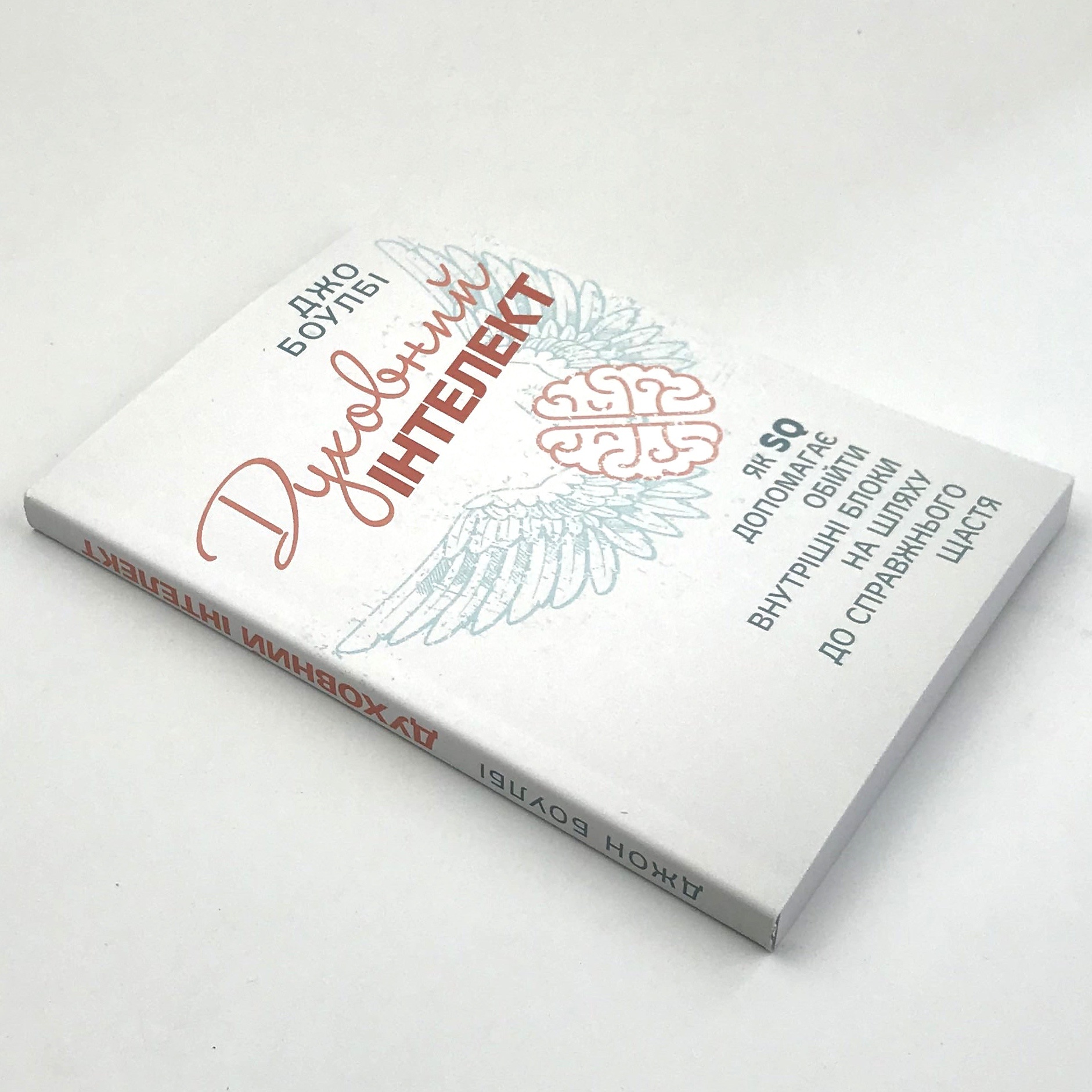 Духовний інтелект. Як SQ допомагає обійти внутрішні блоки на шляху до справжнього щастя