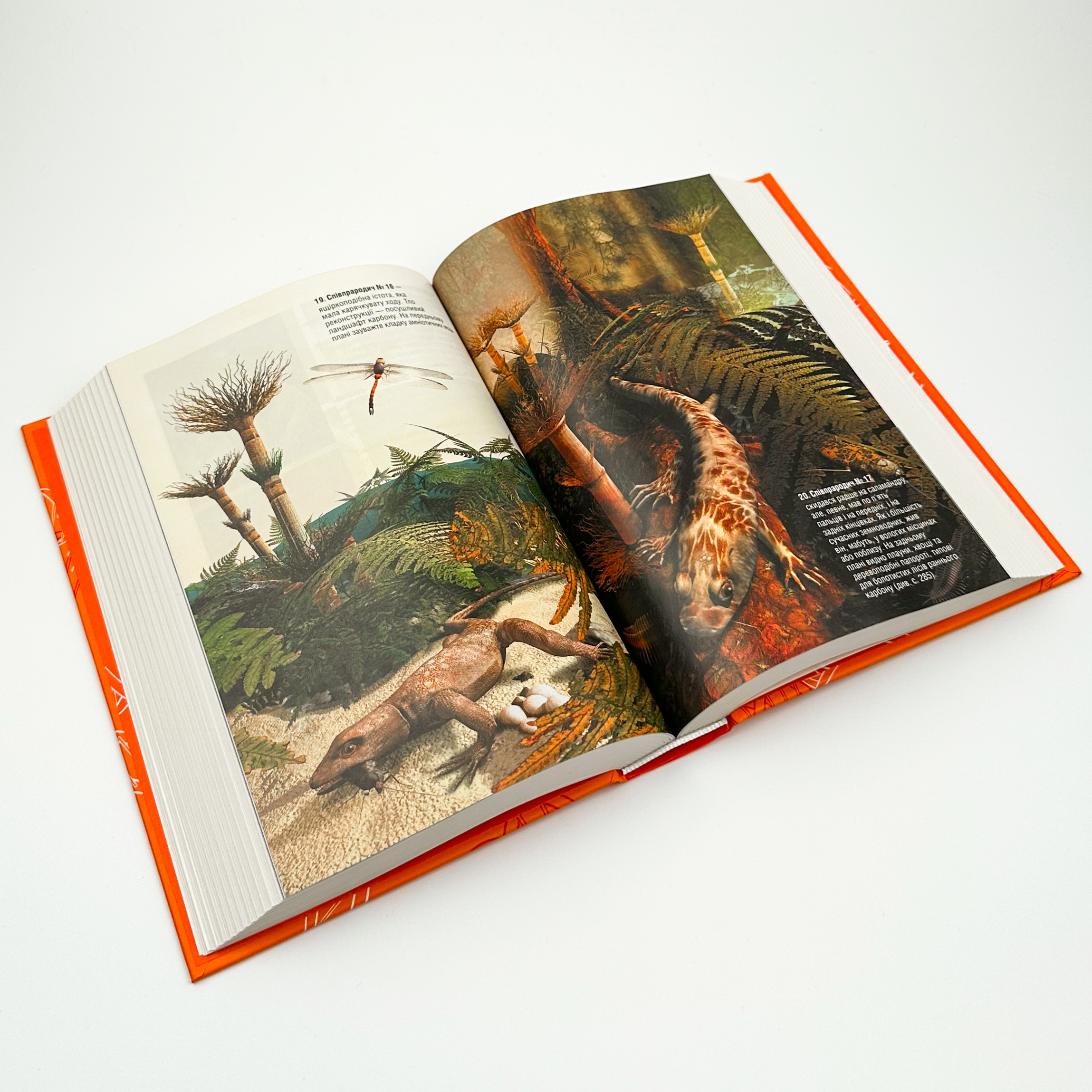 Оповідь предка. Історія створення людства. Автор — Ричард Докинз. 