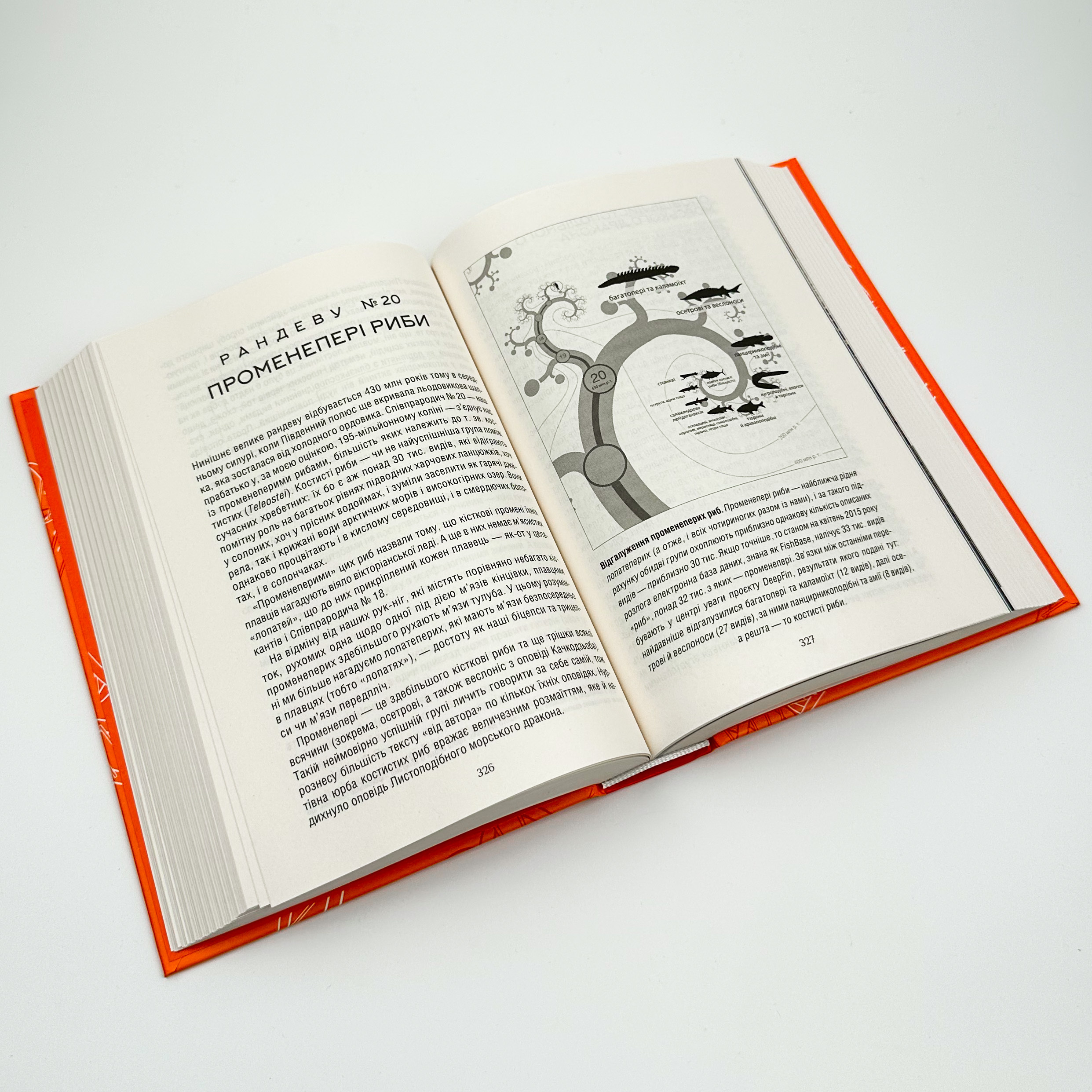 Оповідь предка. Історія створення людства. Автор — Ричард Докинз. 