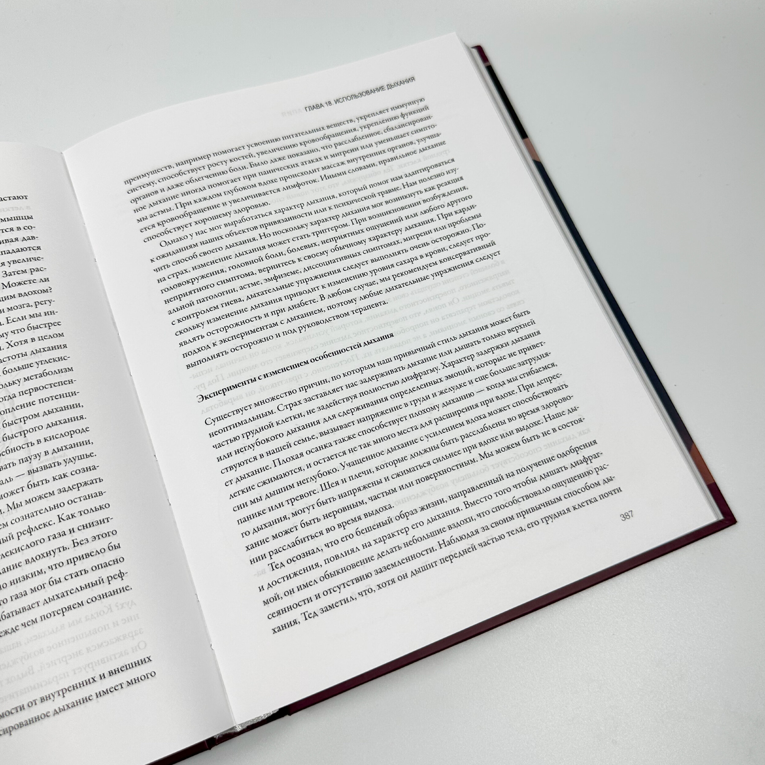 Сенсомоторная психотерапия. Терапия последствий психологических травм и нарушений привязанности. Автор — Пет Огден, Яніна Фішер. 