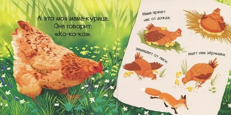 Знакомься, я цыпленок. Автор — Рід Барбара. 