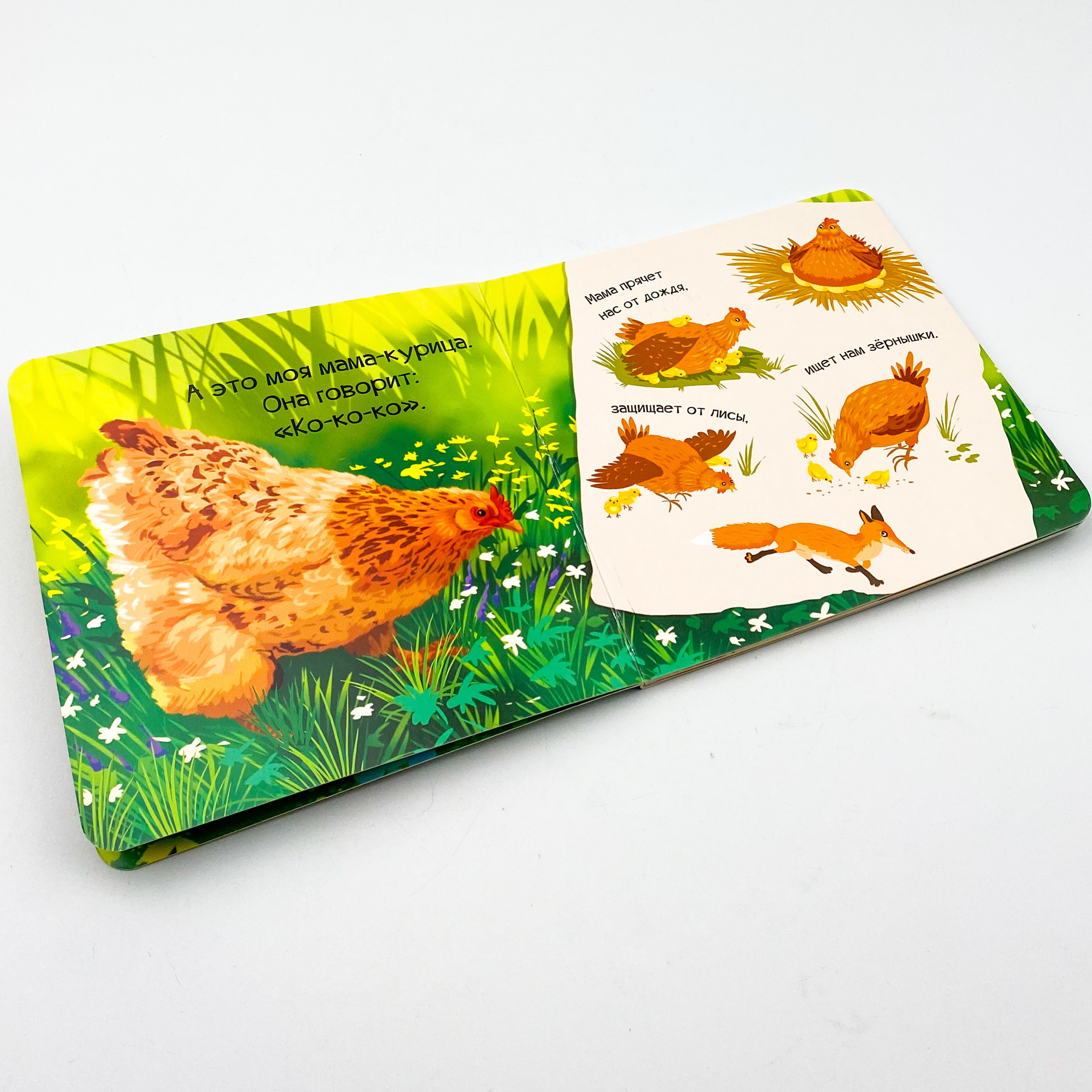 Знакомься, я цыпленок. Автор — Рід Барбара. 