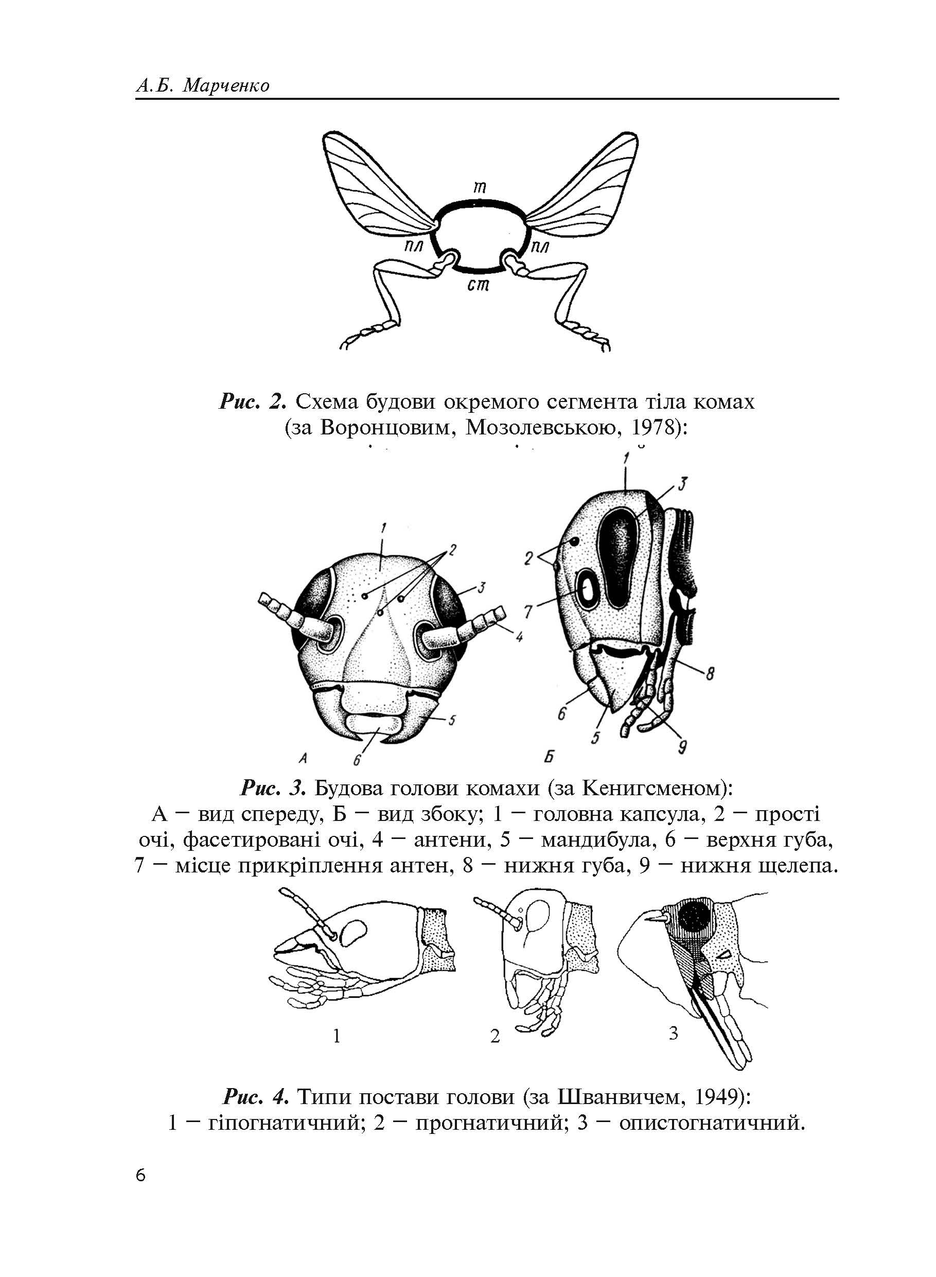Лісова ентомологія. Автор — Марченко А.Б.. 